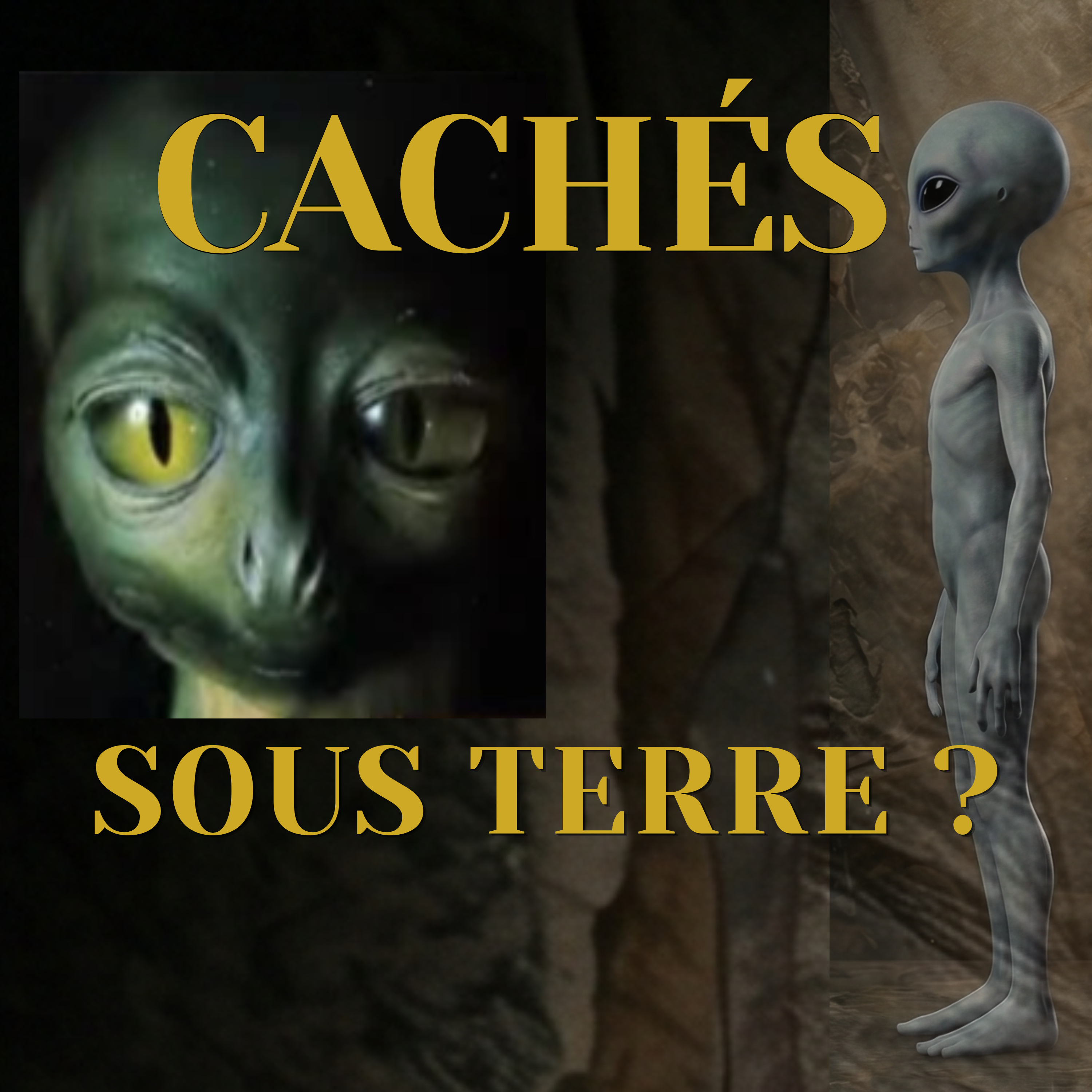 Le Dinosauroïde : Biologie d'un Mythe episode artwork
