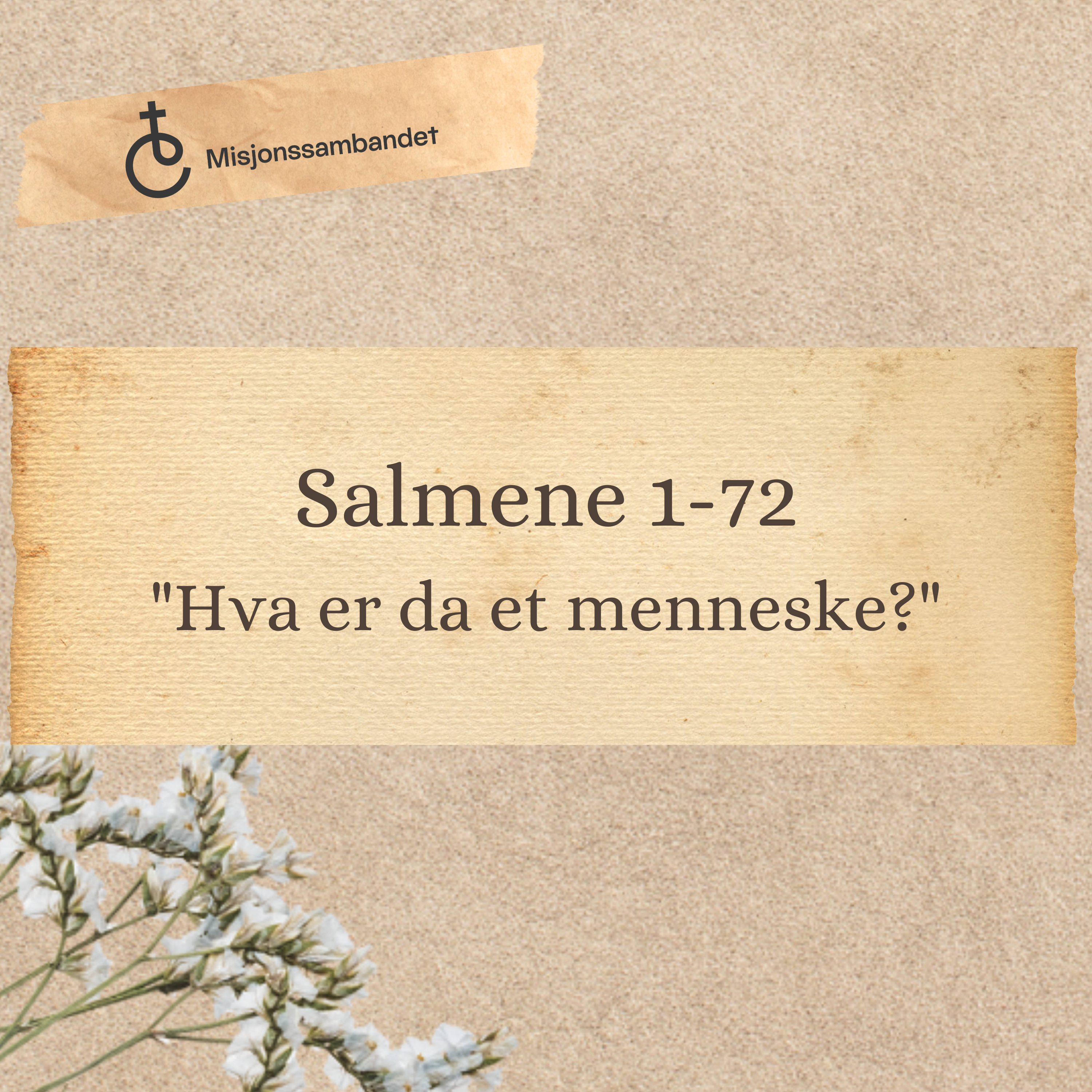 Salmene 1-72 "Hva er da et menneske?" | Jan Helge Aarseth episode artwork
