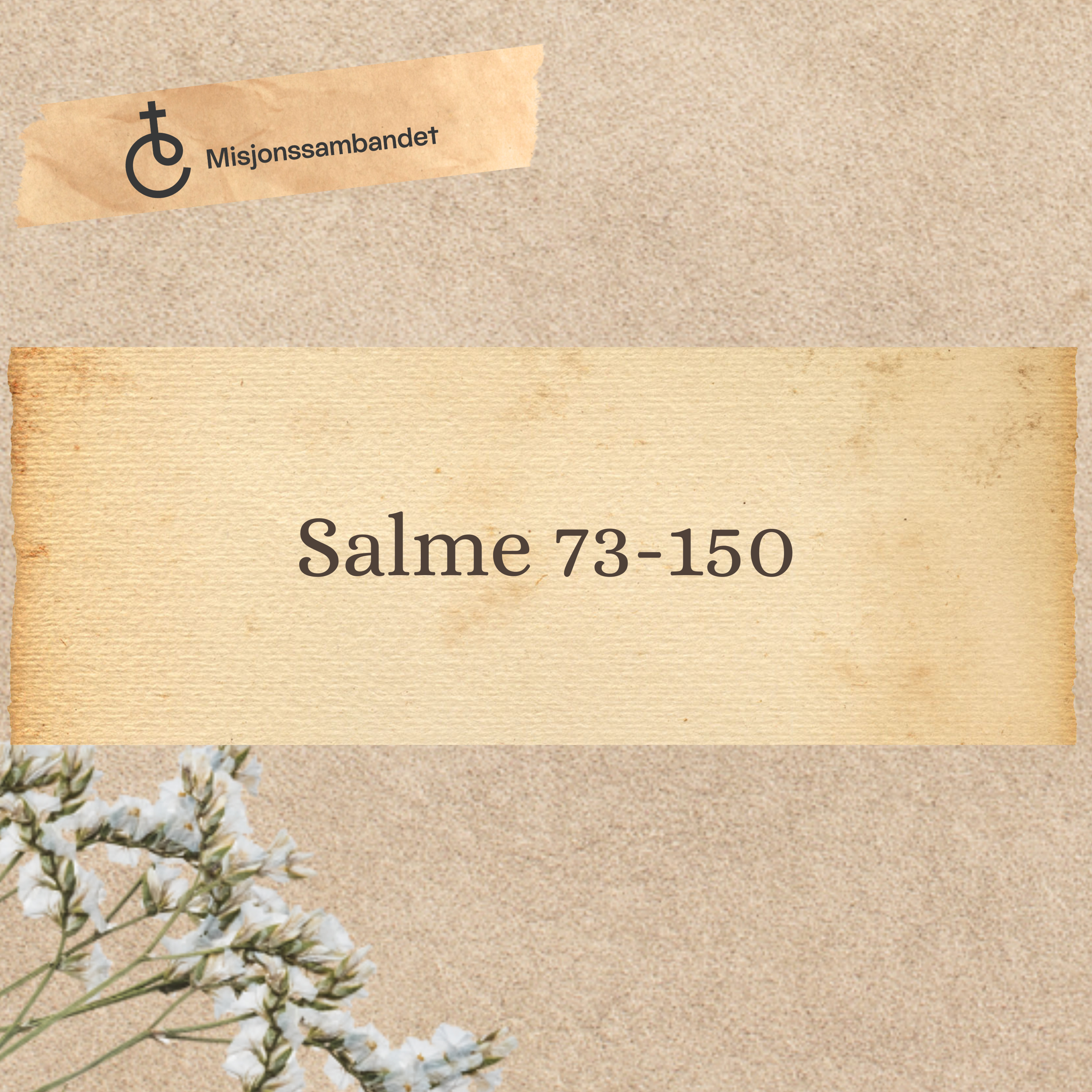 Salmene 73-150 | Erling Lundeby episode artwork