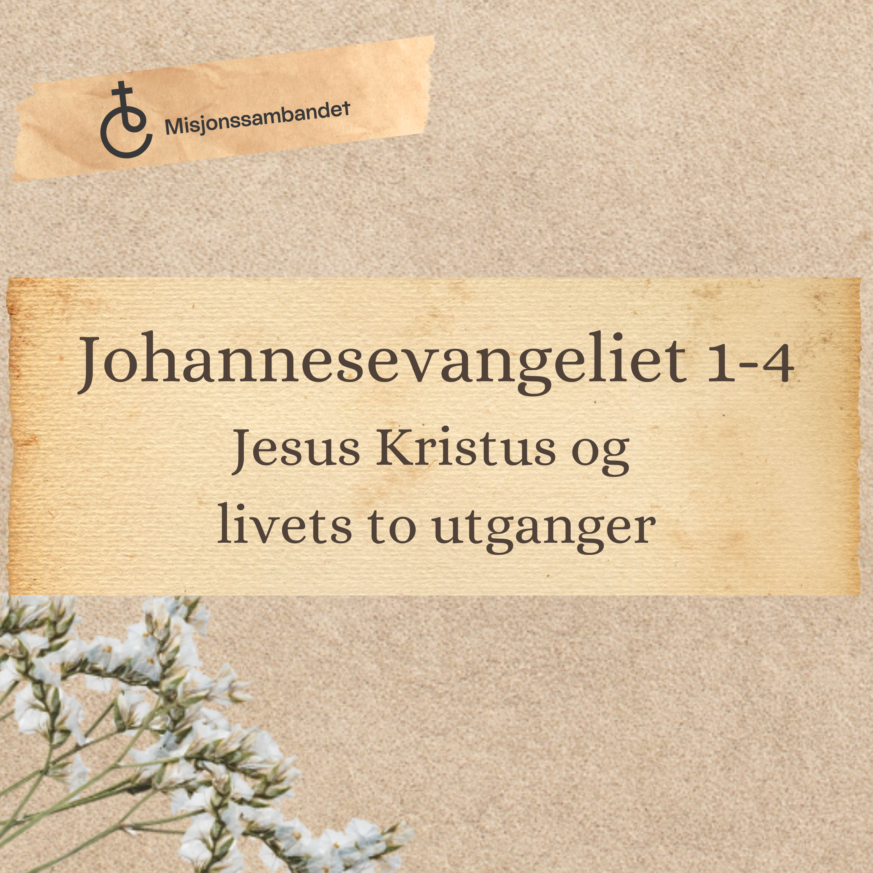 Johannesevangeliet 1-4 "Jesus Kristus og livets to utganger" | Arne Helge Teigen episode artwork