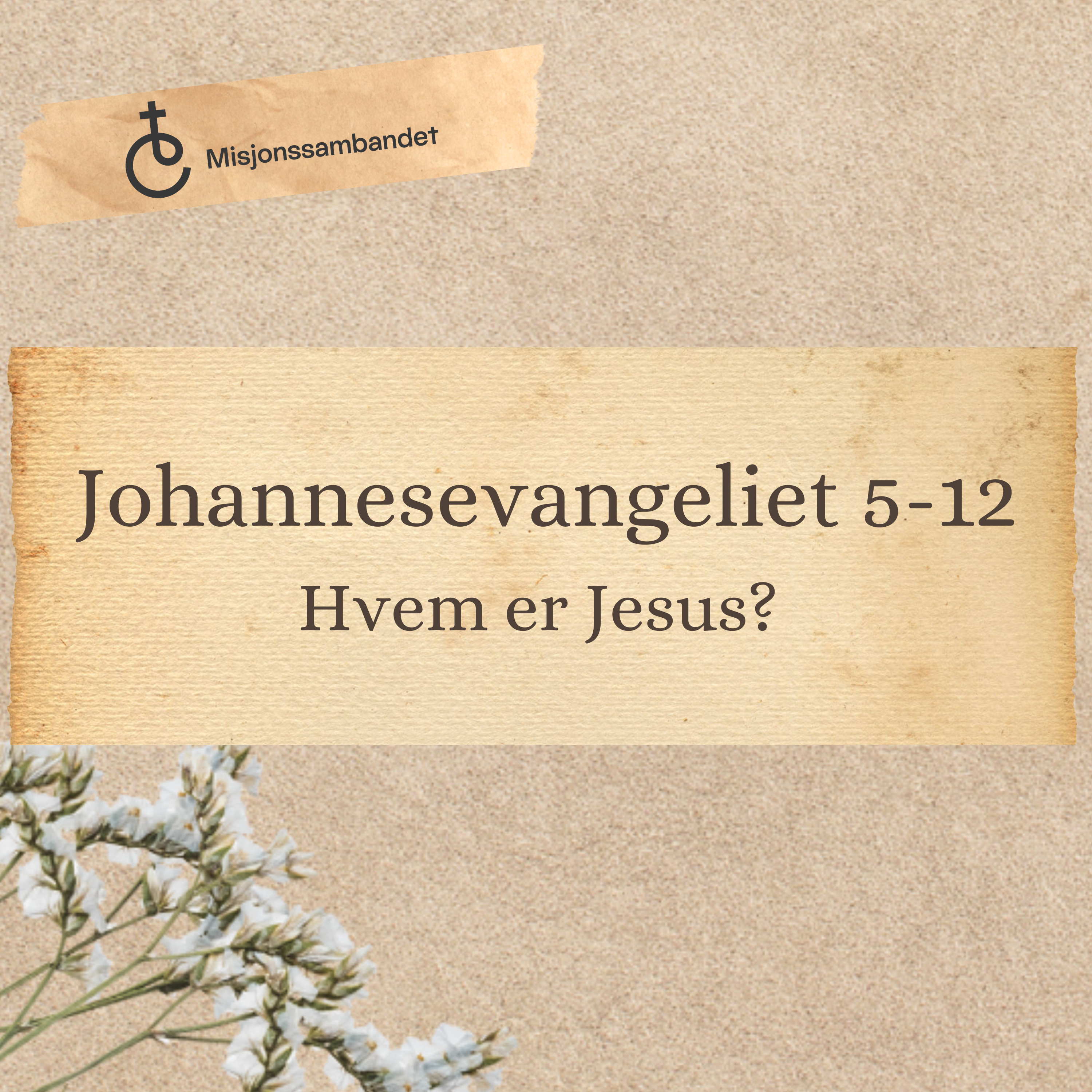 Johannesevangeliet 5-12 "Hvem er Jesus?" | Erling Lundeby & Jan Helge Aarseth episode artwork