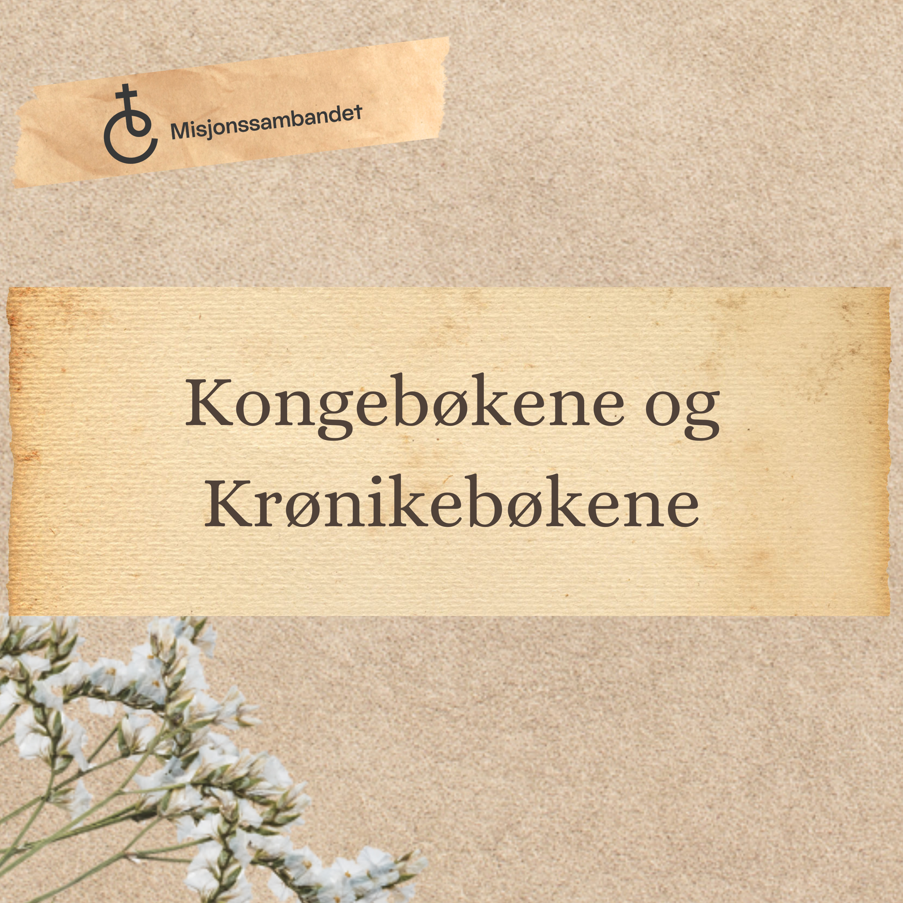 Kongebøkene og Krønikebøkene | Erling Lundeby episode artwork