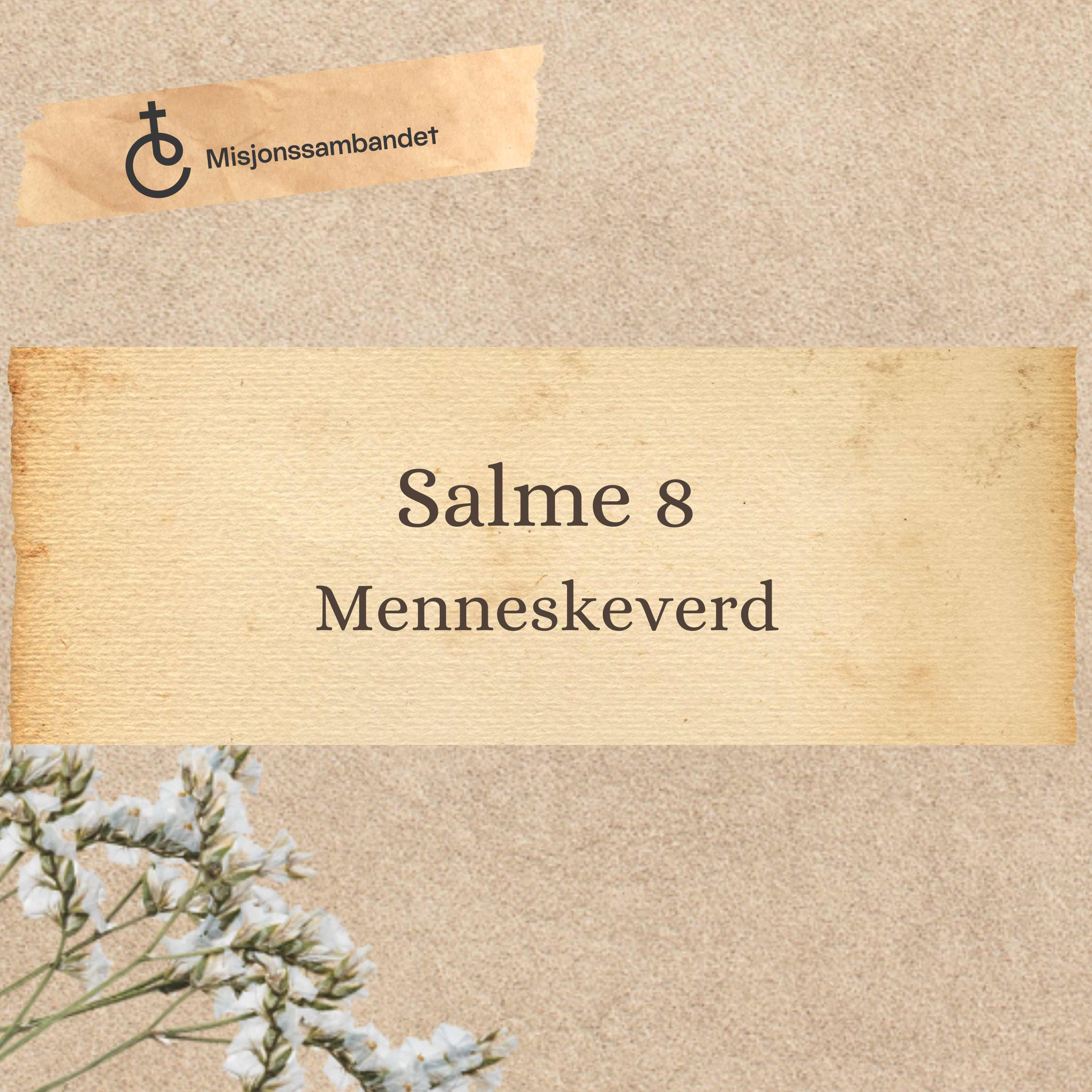 Salme 8 "Menneskeverd" | Erling Lundeby episode artwork