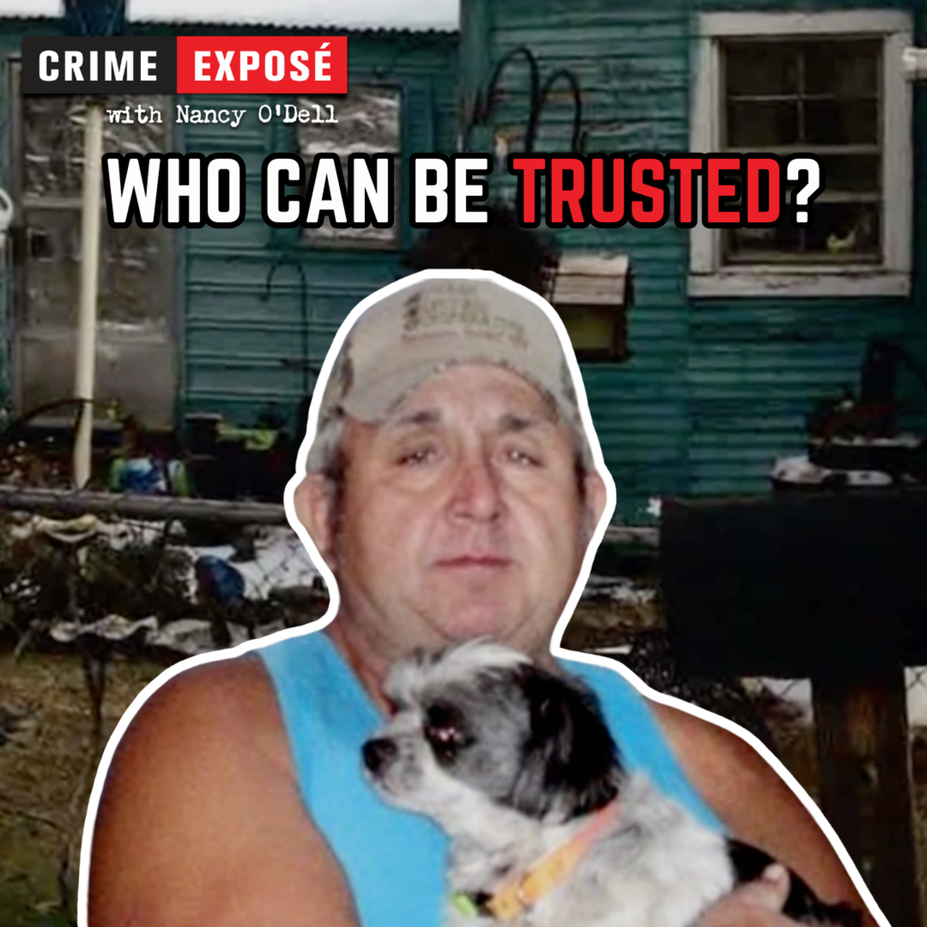Michael Beach: The Craigslist Murder, Lonely Hearts, Deadly Lies. episode artwork