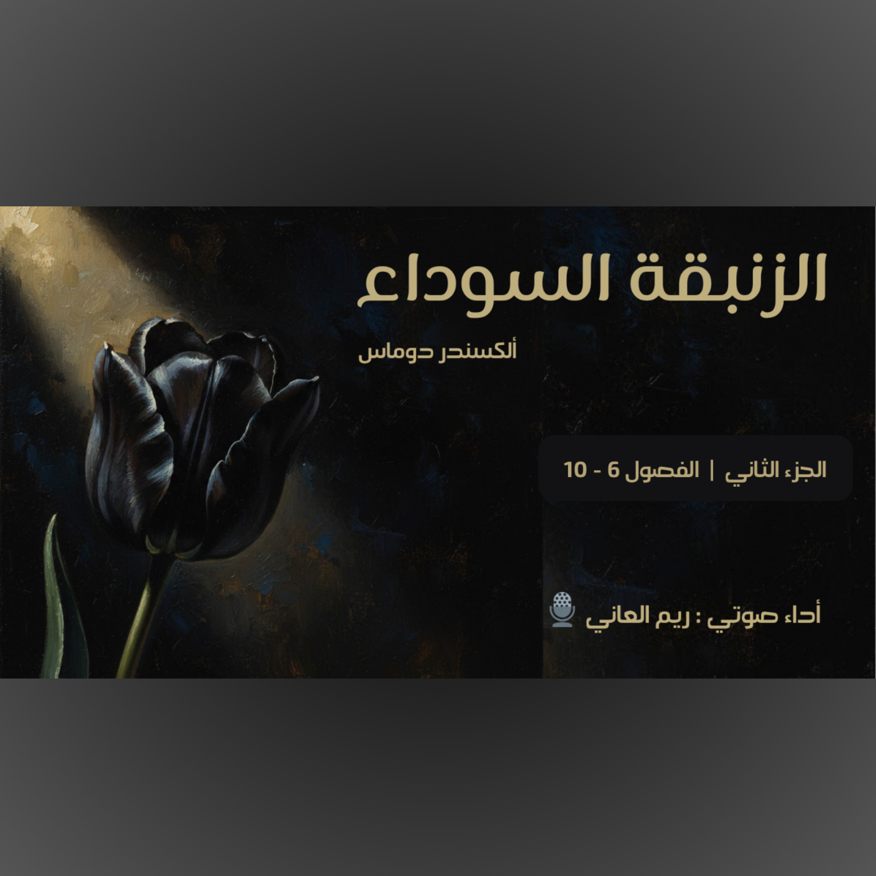 الزنبقة السوداء - الجزء الثاني episode artwork