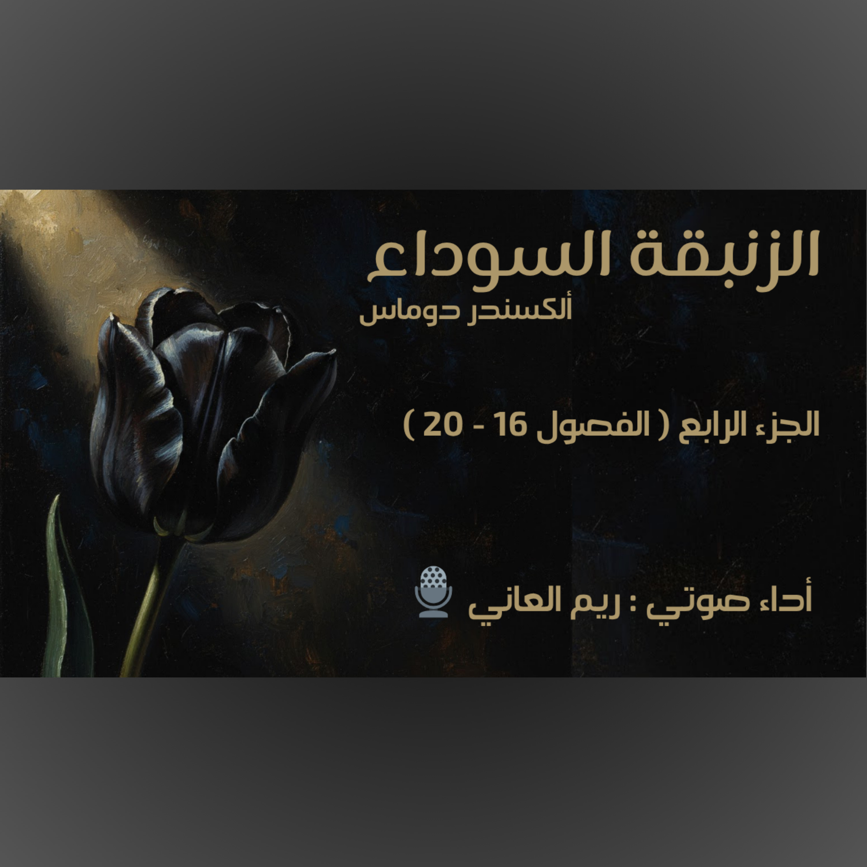 الزنبقة السوداء - الجزء الرابع episode artwork