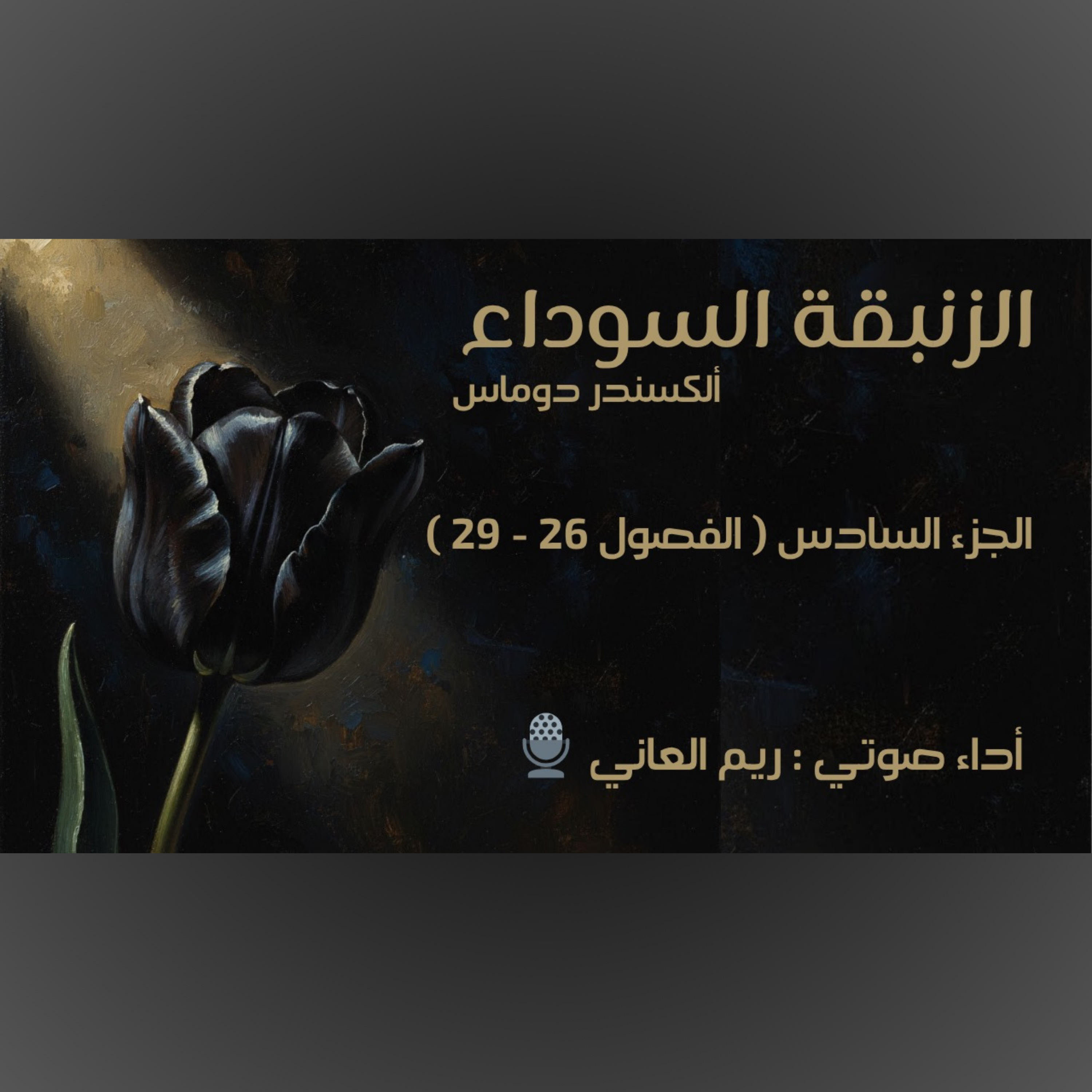 الزنبقة السوداء - الجزء السادس episode artwork