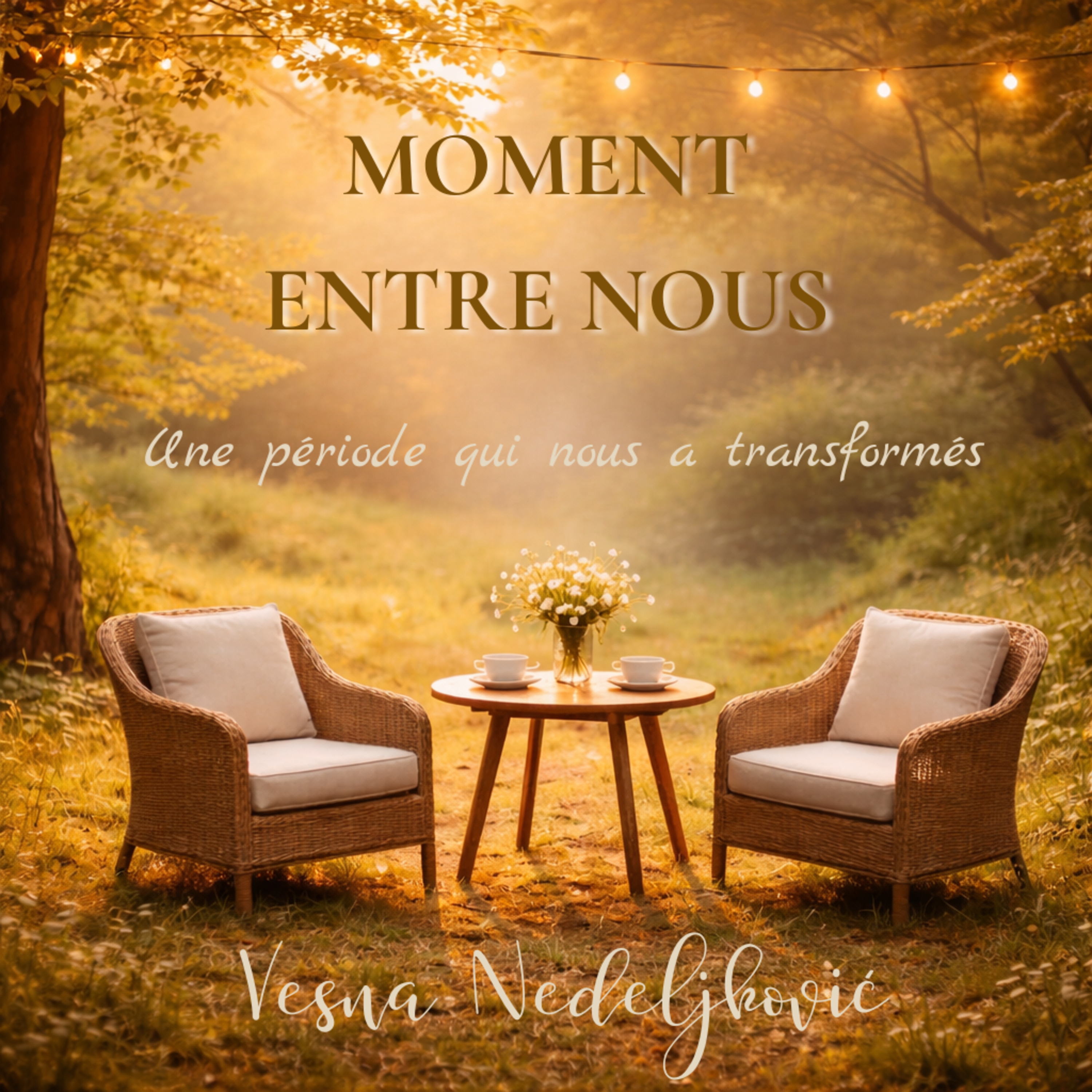Une période qui nous a transformés — émotions et changements intérieurs | Moment entre nous episode artwork