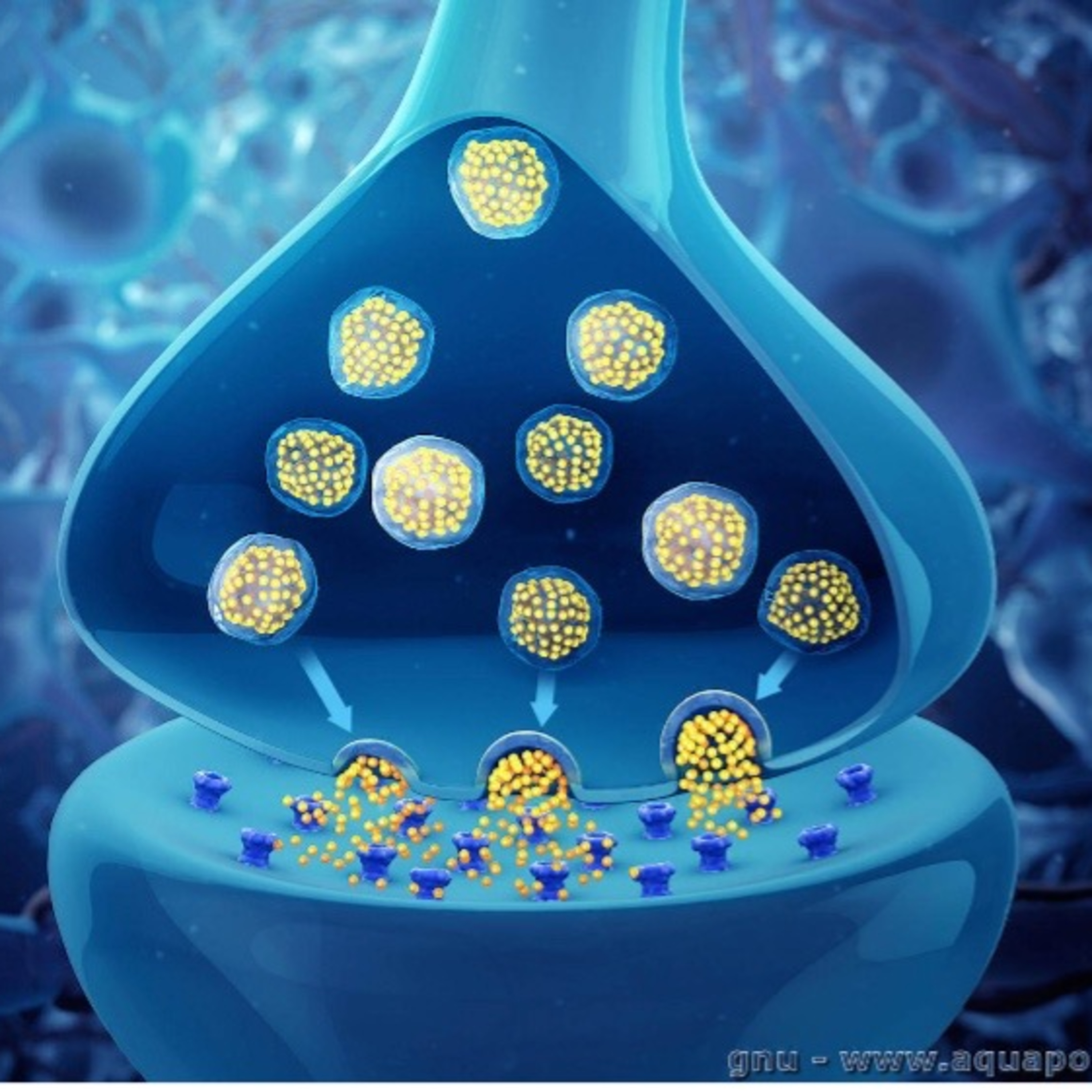 17. LES MOLECULES DE NOS EMOTIONS episode artwork