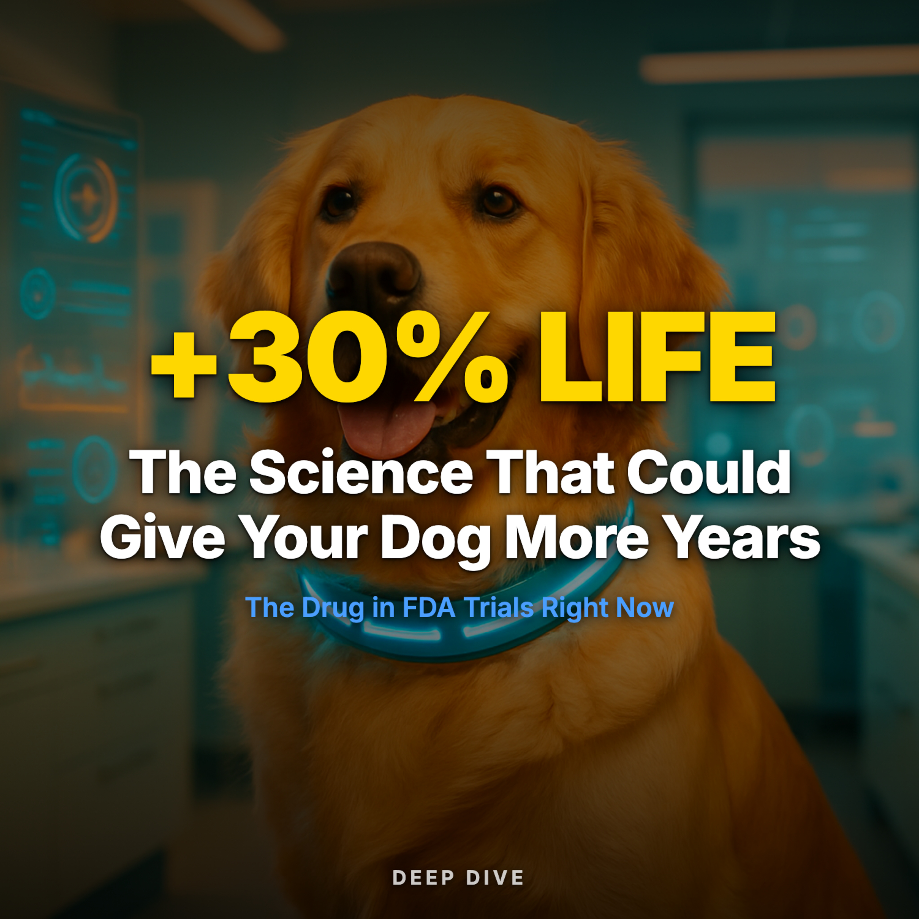 The Science That Could Give Your Dog More Years episode artwork
