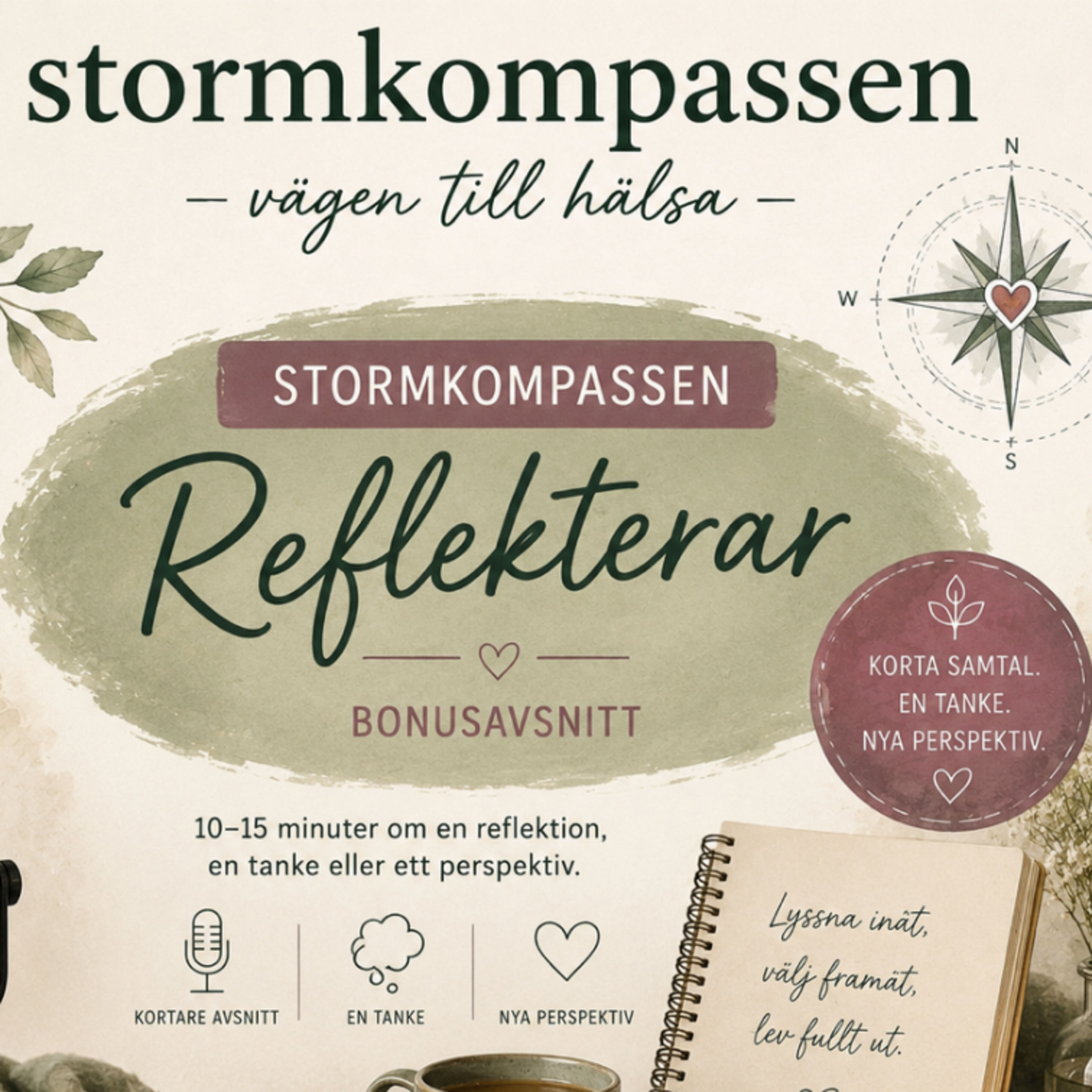Stormkompassen reflekterar: episode artwork