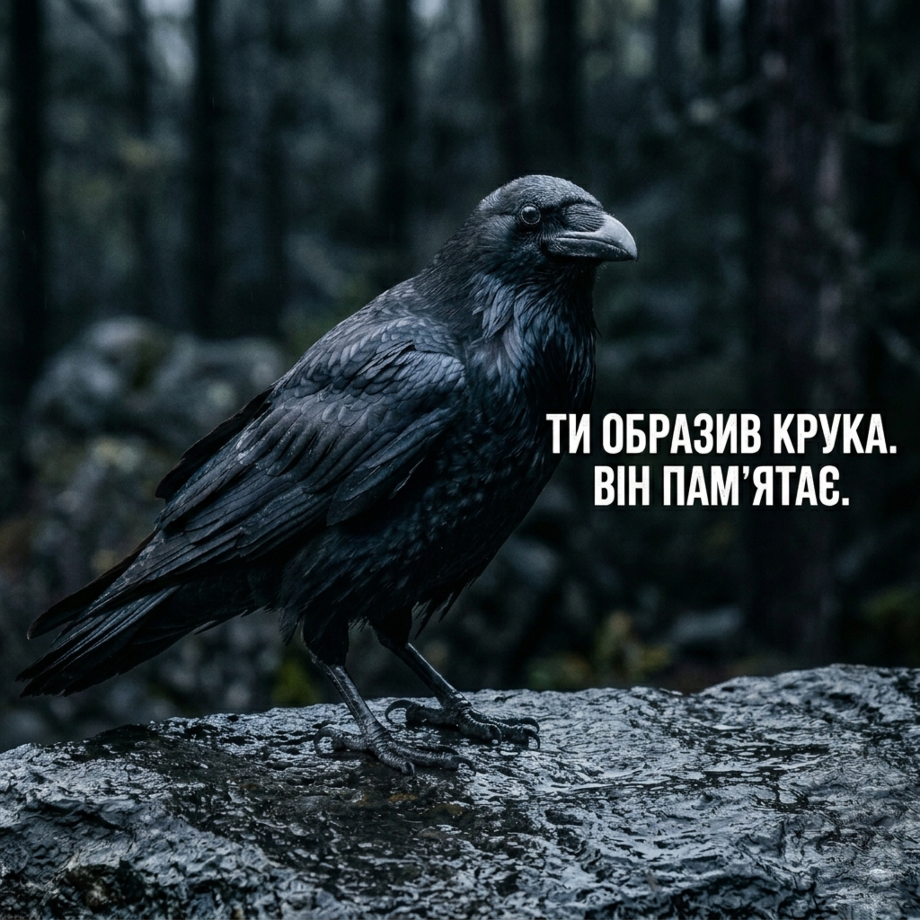 Ти образив крука. Він пам'ятає. episode artwork