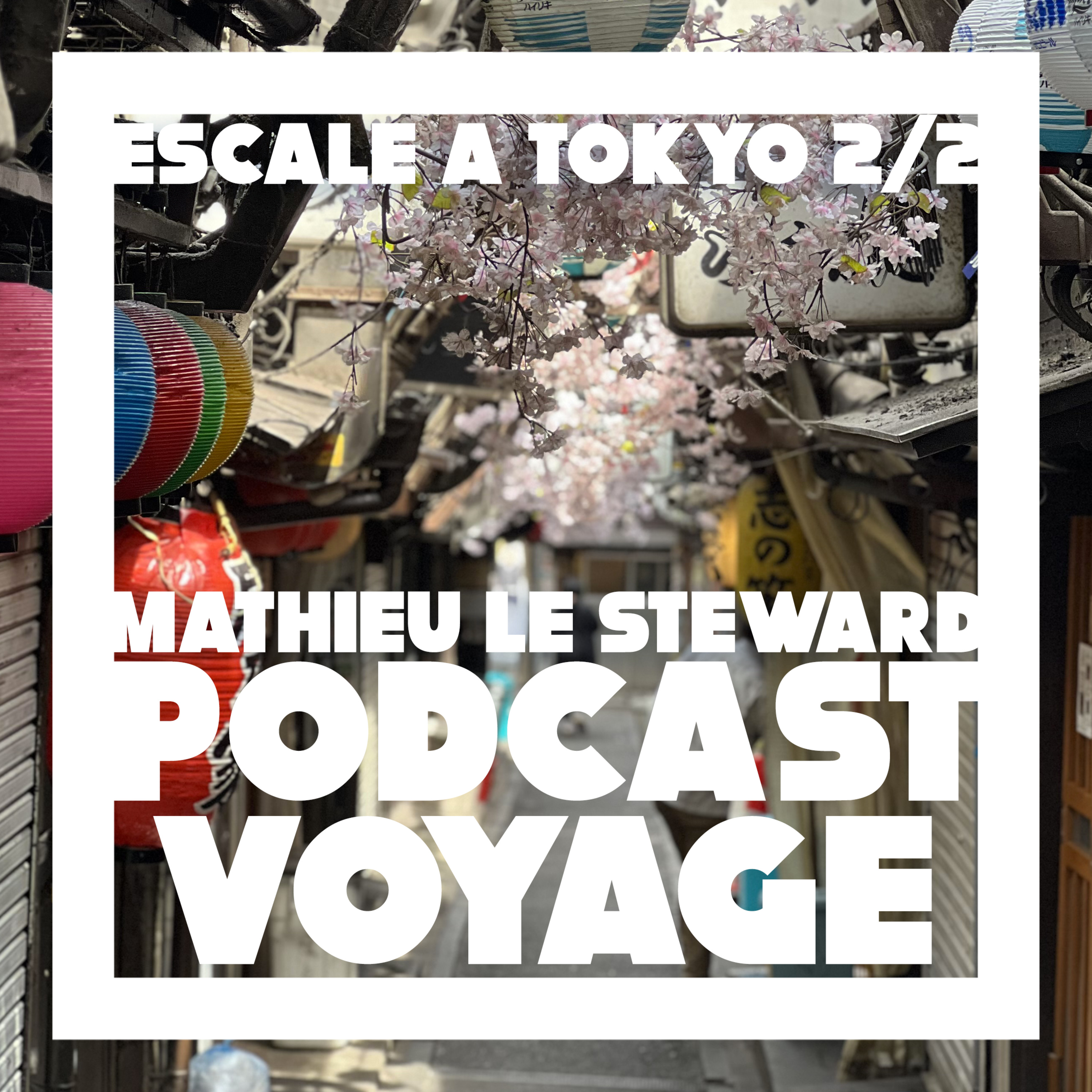 Podcast Voyage - Mathieu le Steward