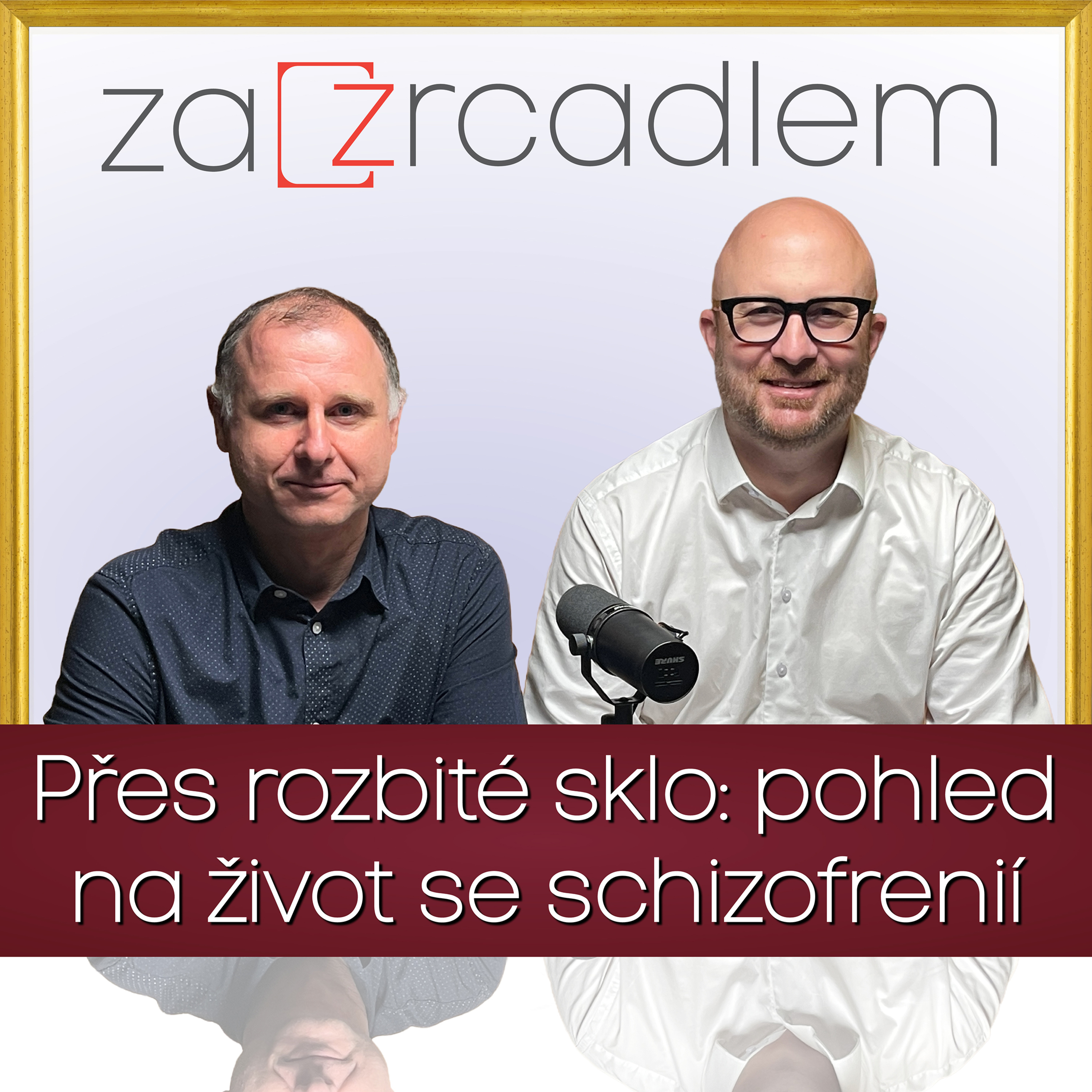 Přes rozbité sklo: pohled na život se schizofrenií episode artwork