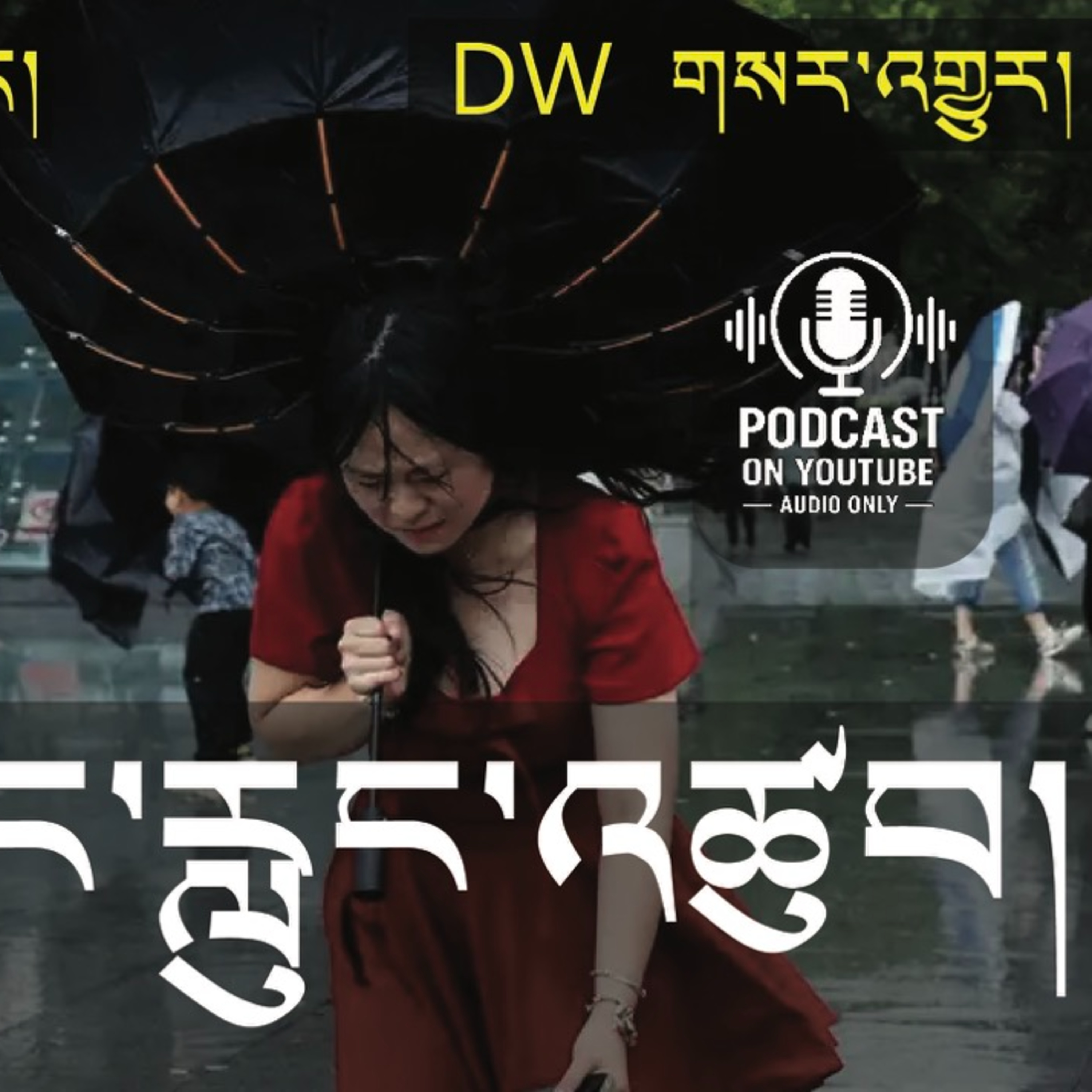 Typhoon in China (News in Tibetan) #86 episode artwork