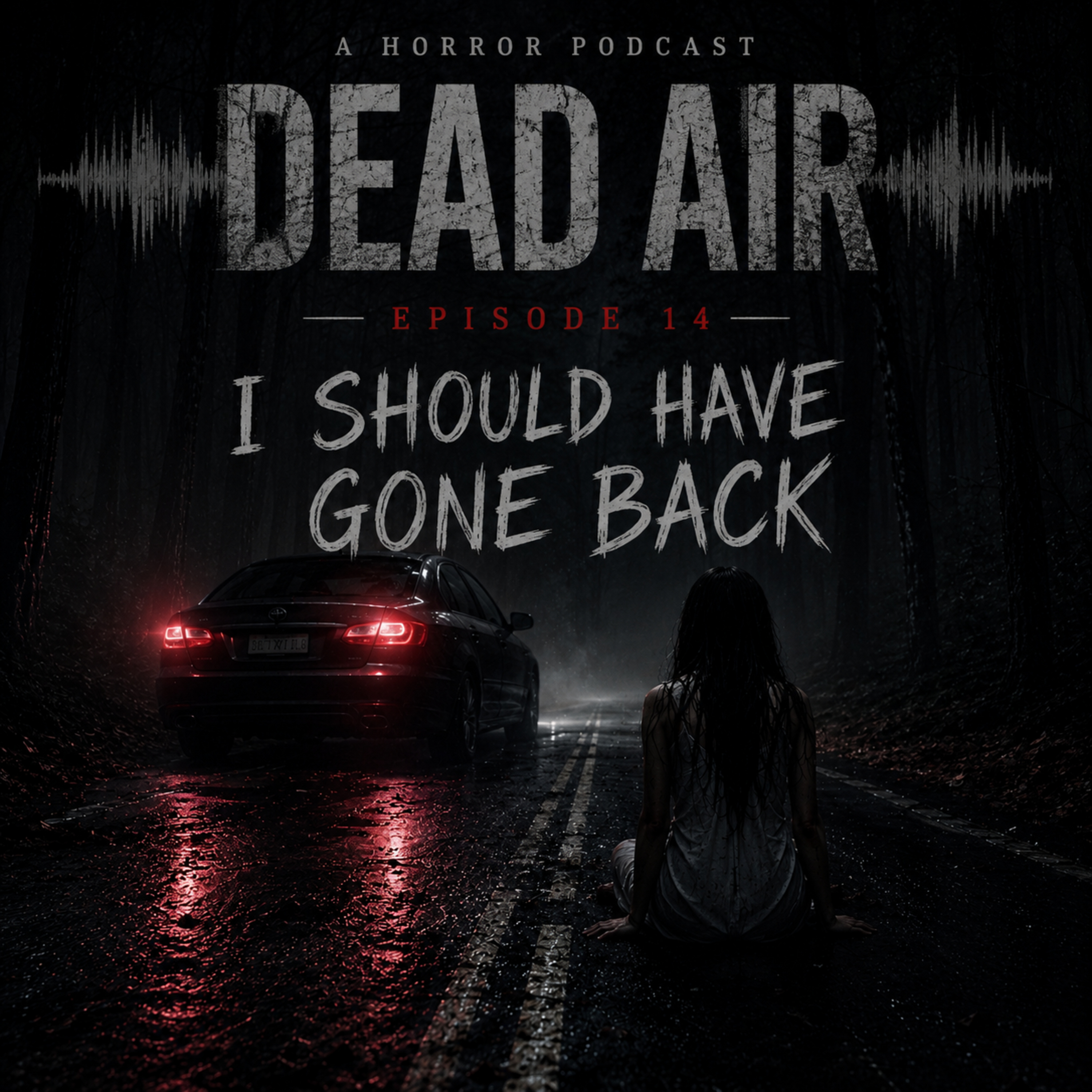I Should Have Gone Back episode artwork