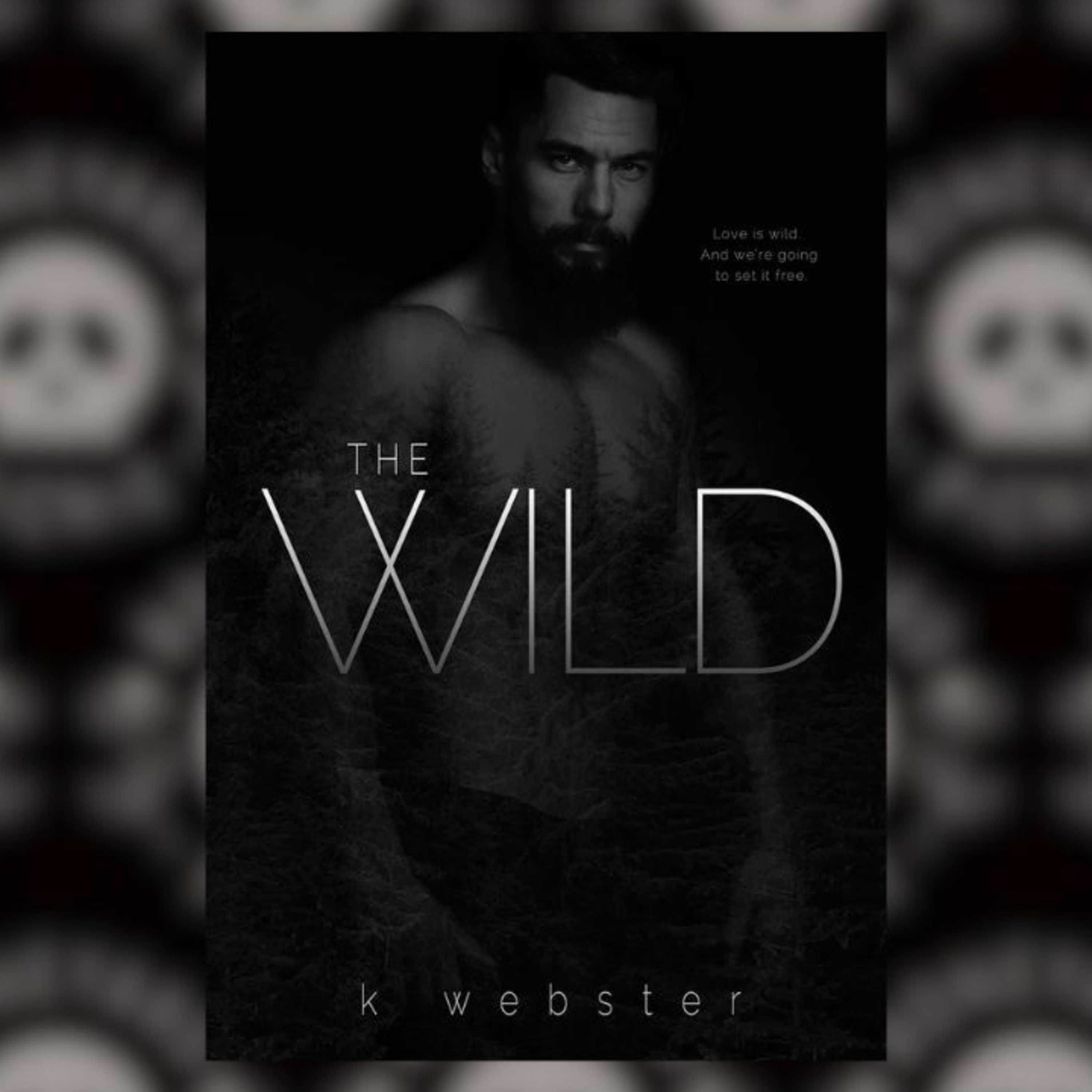 The Wild by K. Webster (one year later) episode artwork