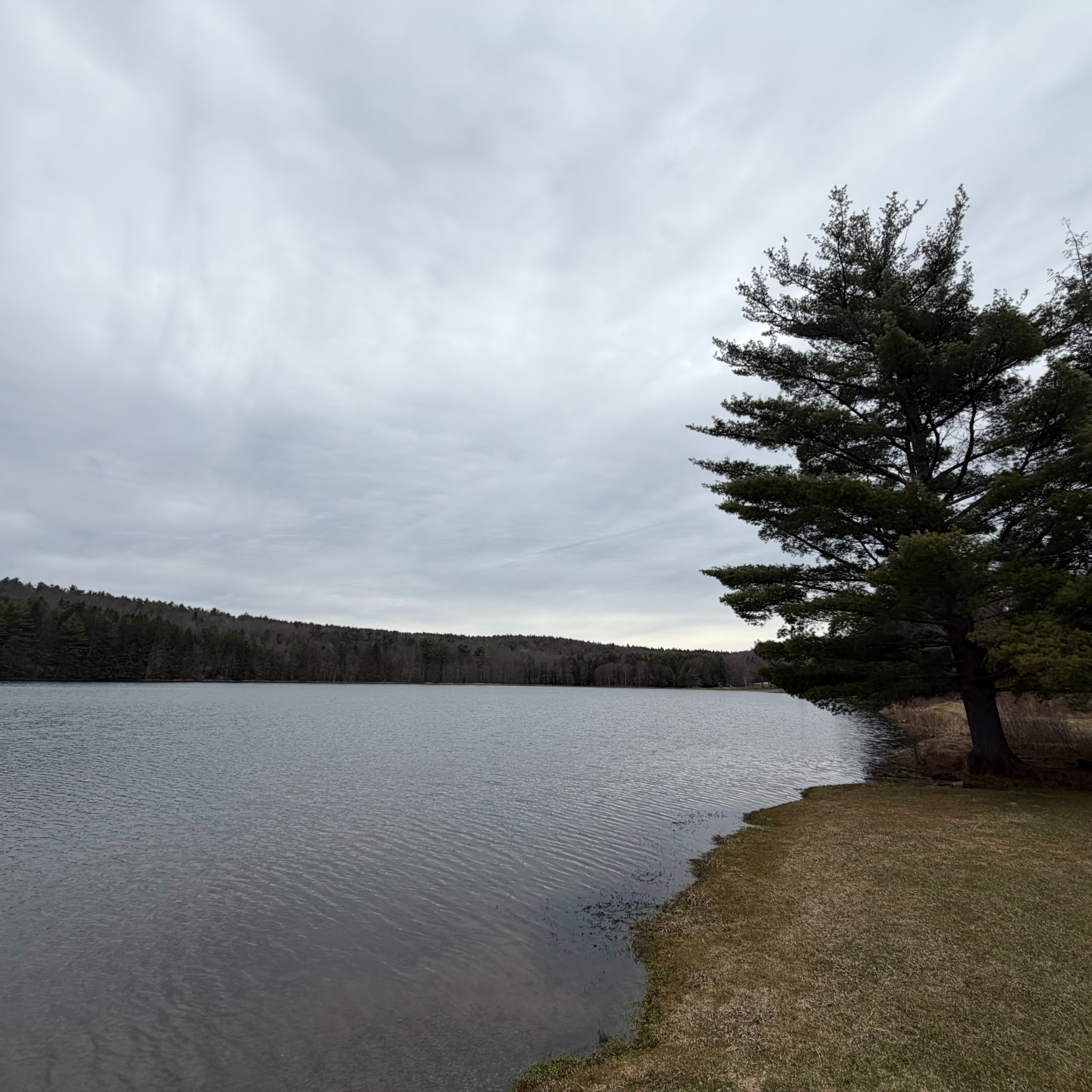 A Spring Hike at Bowman Lake State Park  episode artwork