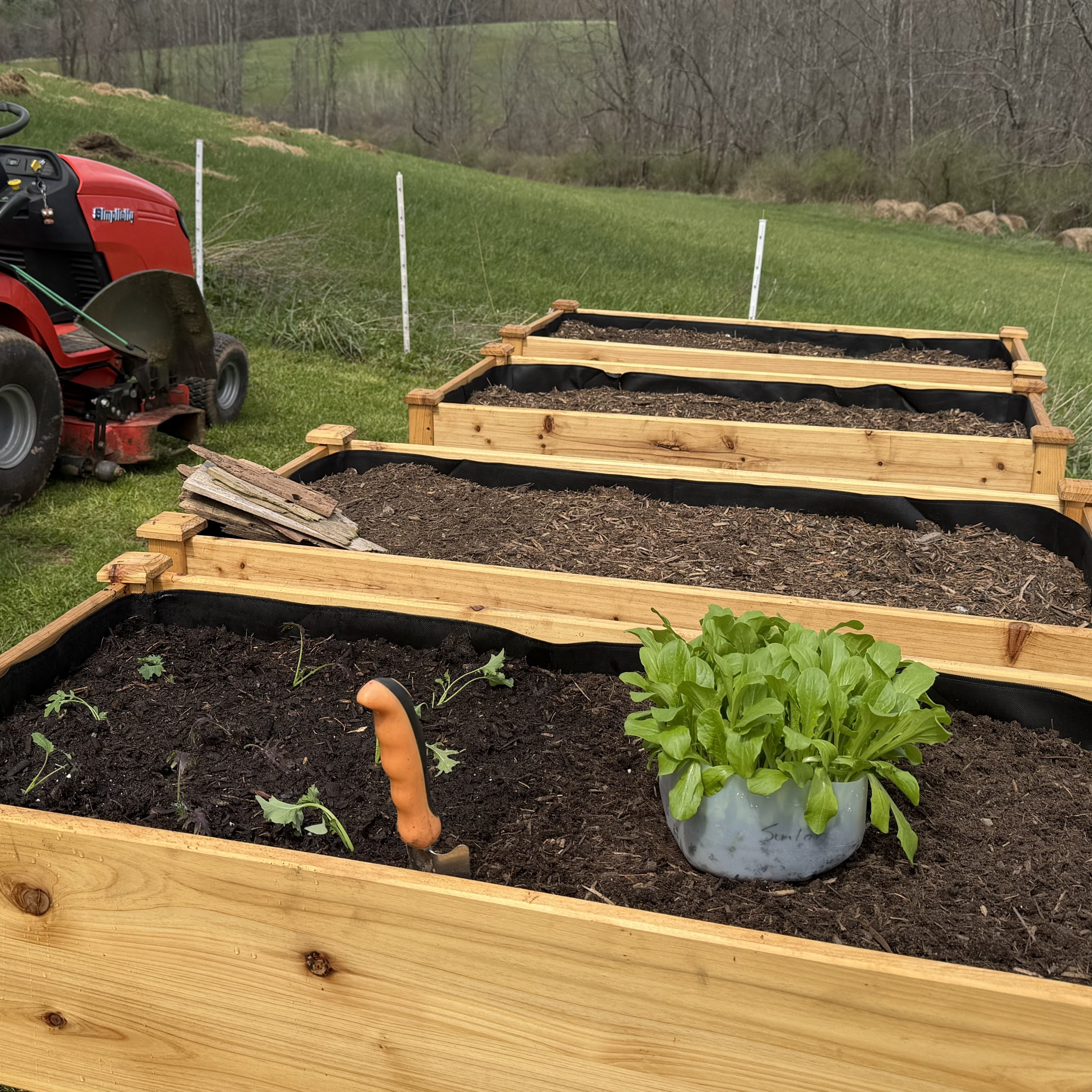 Planting Lettuce and Kale in the Raised Garden Beds episode artwork