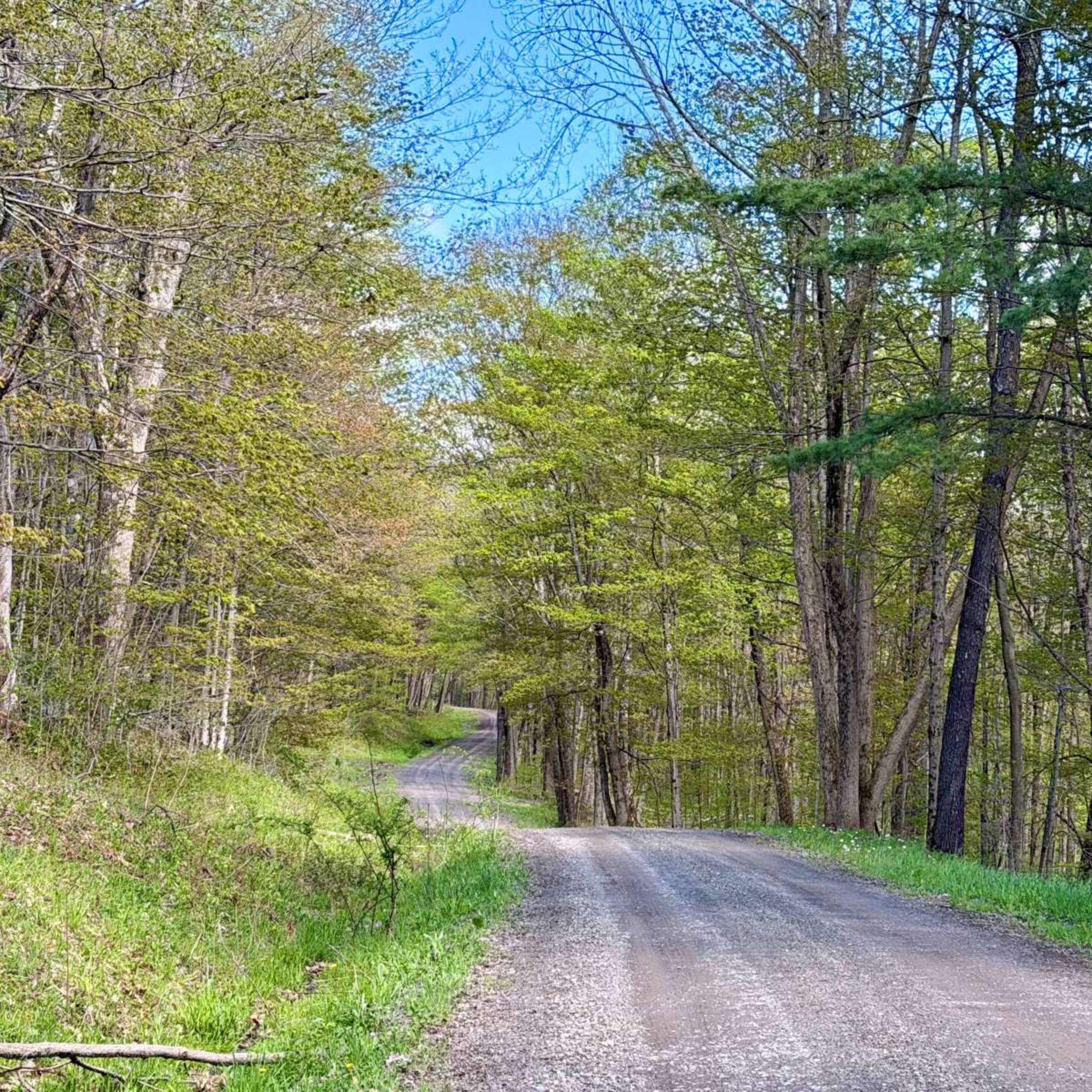 Mountain Biking at Ambler State Forest In NY  episode artwork
