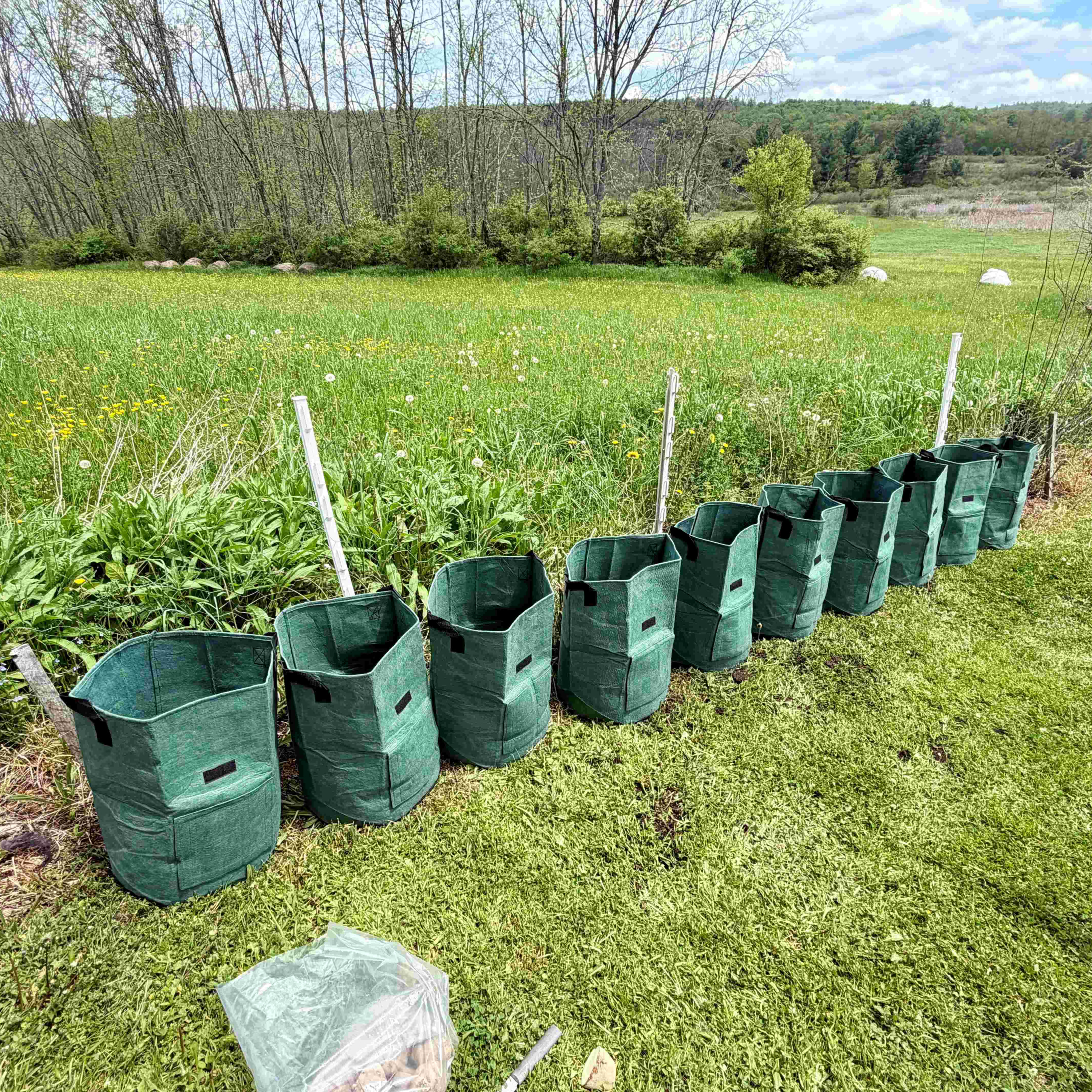 Planting Potatoes Using Fabric Grow Bags episode artwork
