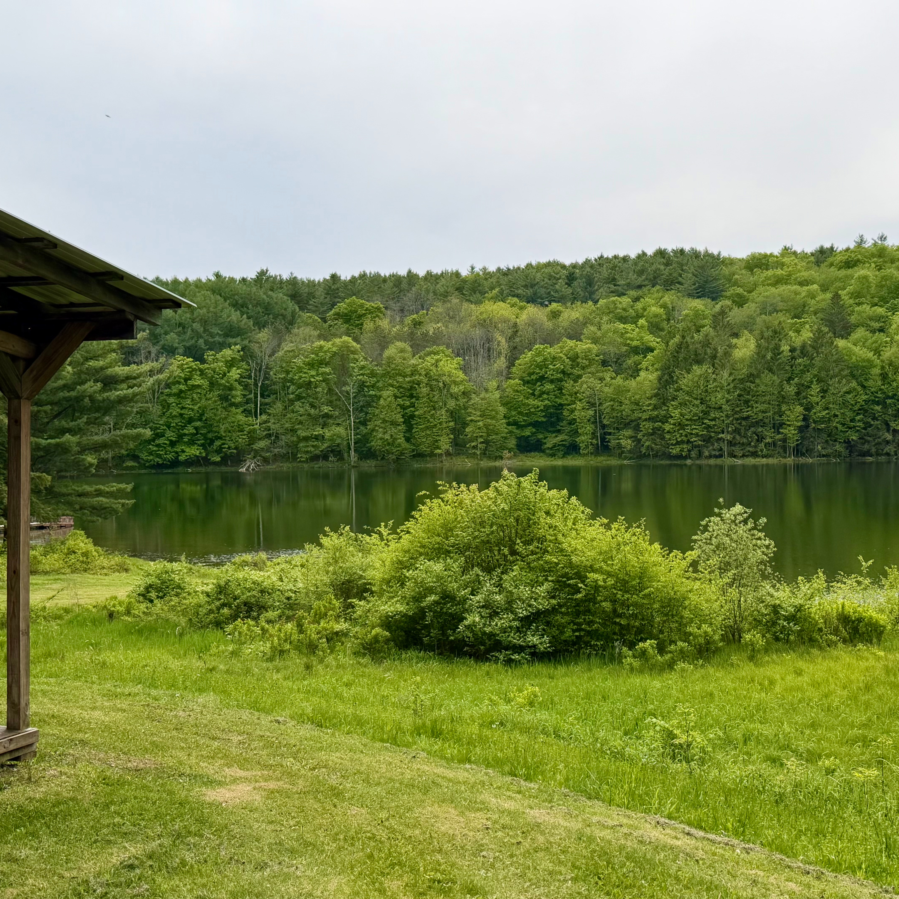 Exploring Bowman Lake NY State Park During the Memorial Day Weekend episode artwork
