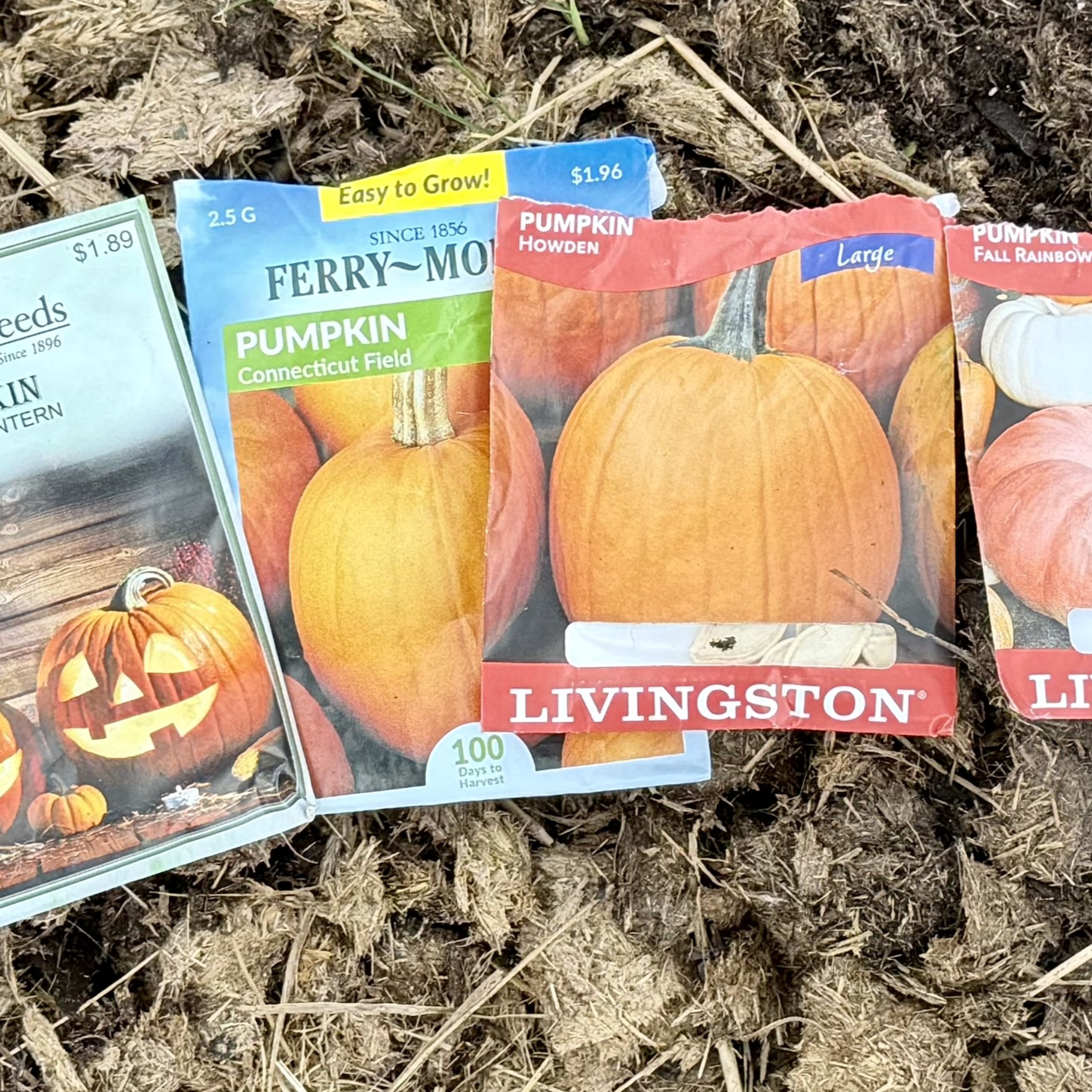 Planting Pumpkins and New Varieties of Winter Squash episode artwork