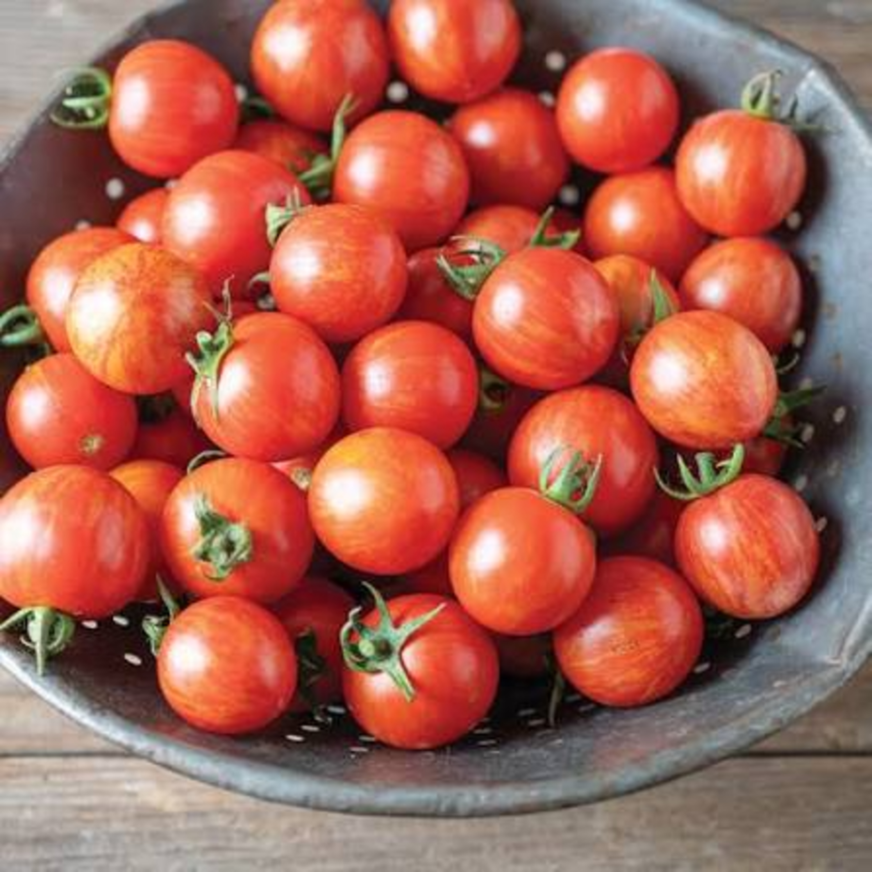 We Have Tomatoes! Also Squash and Cukes! Garden Update! episode artwork
