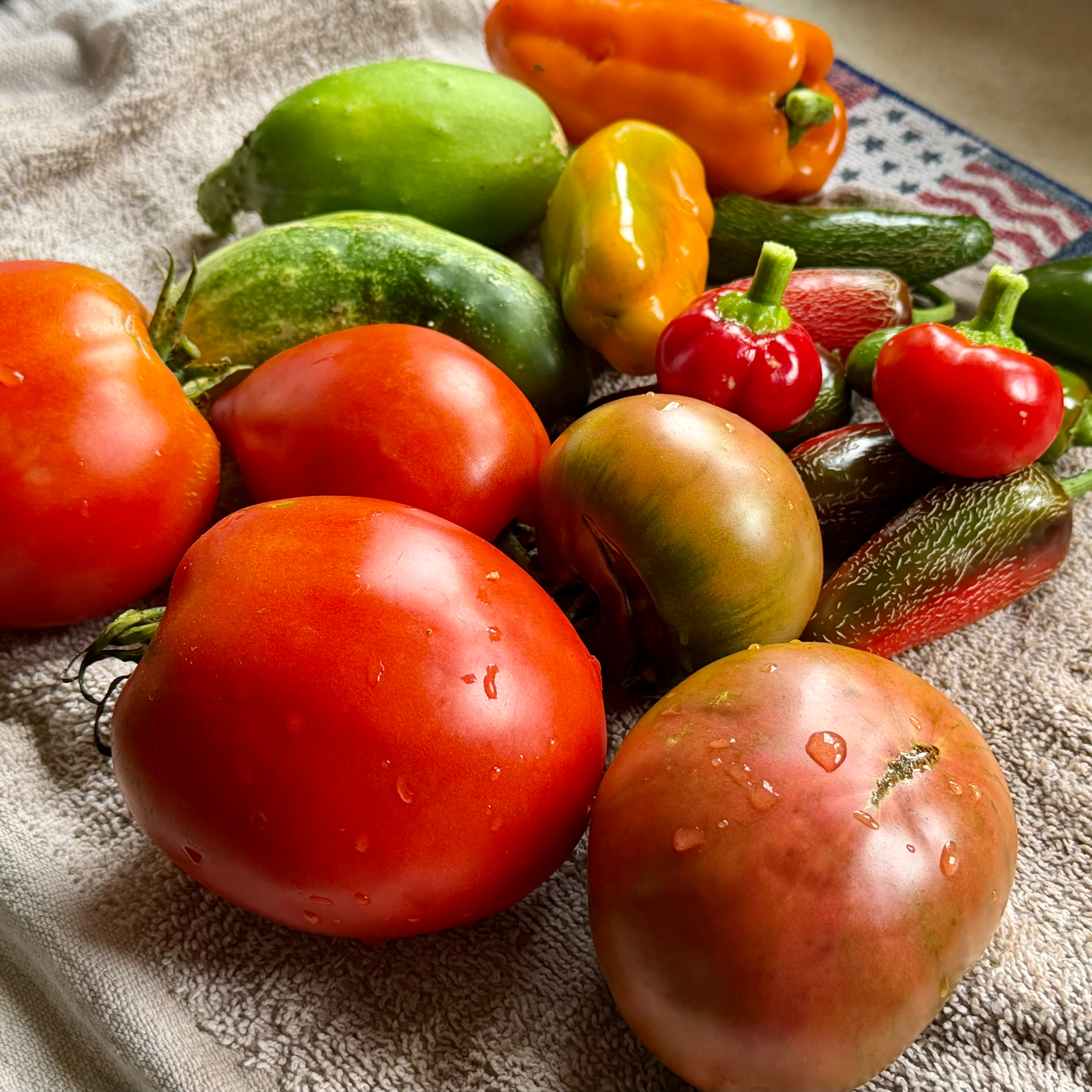 This Year's Garden Has Been a Success-Another Update episode artwork