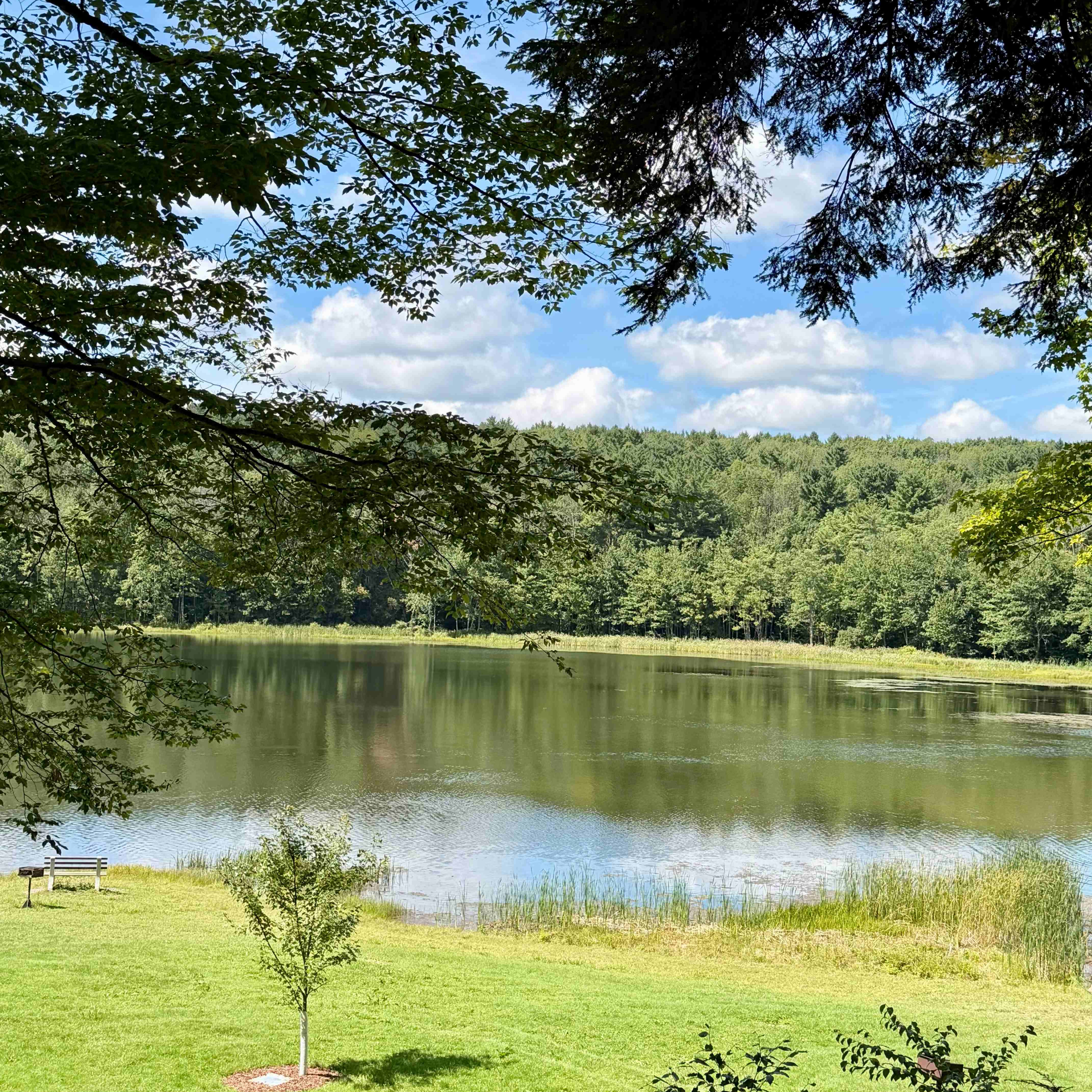 A Late Summer Bike Tour of Bowman Lake State Park (NY) episode artwork