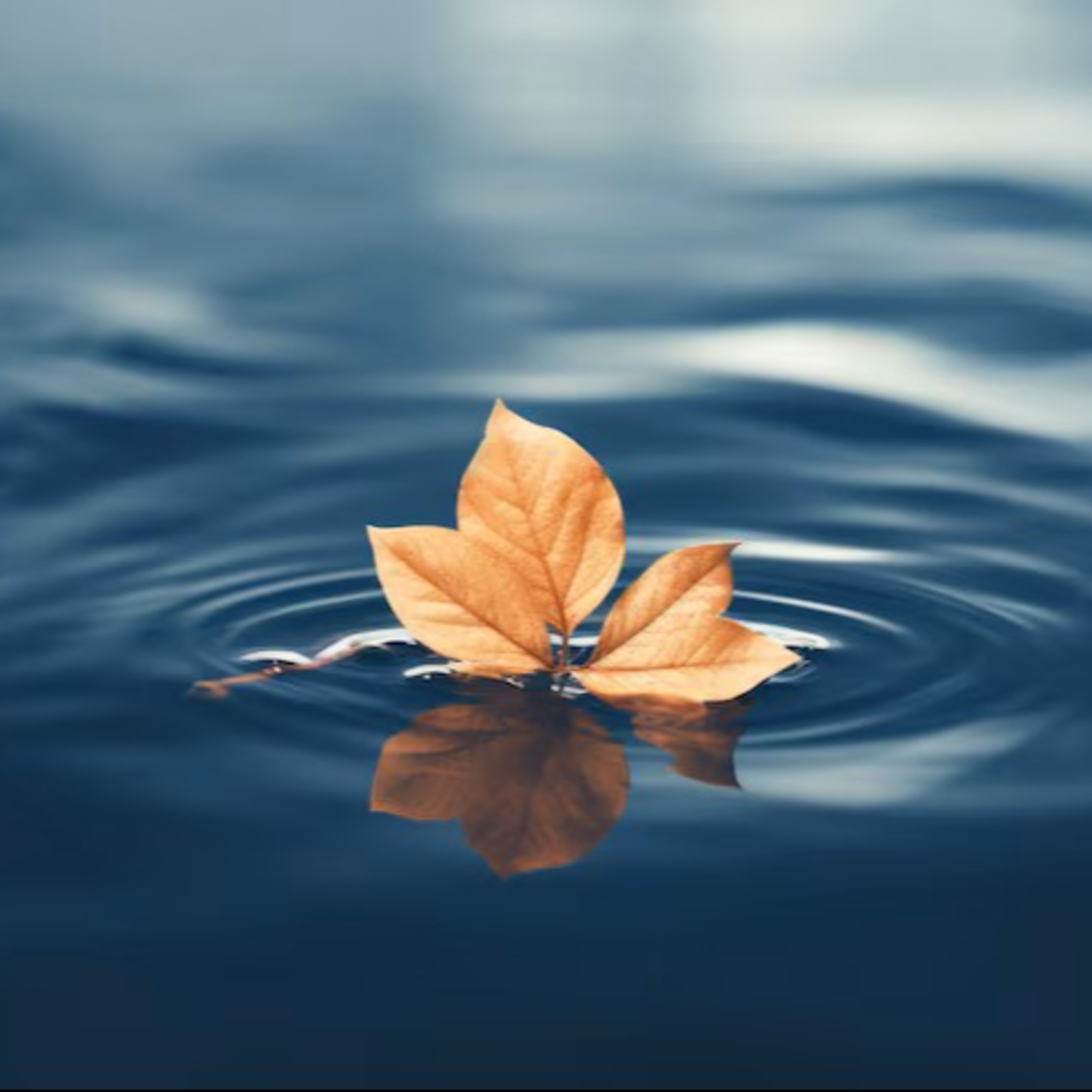 Relax & Let Go