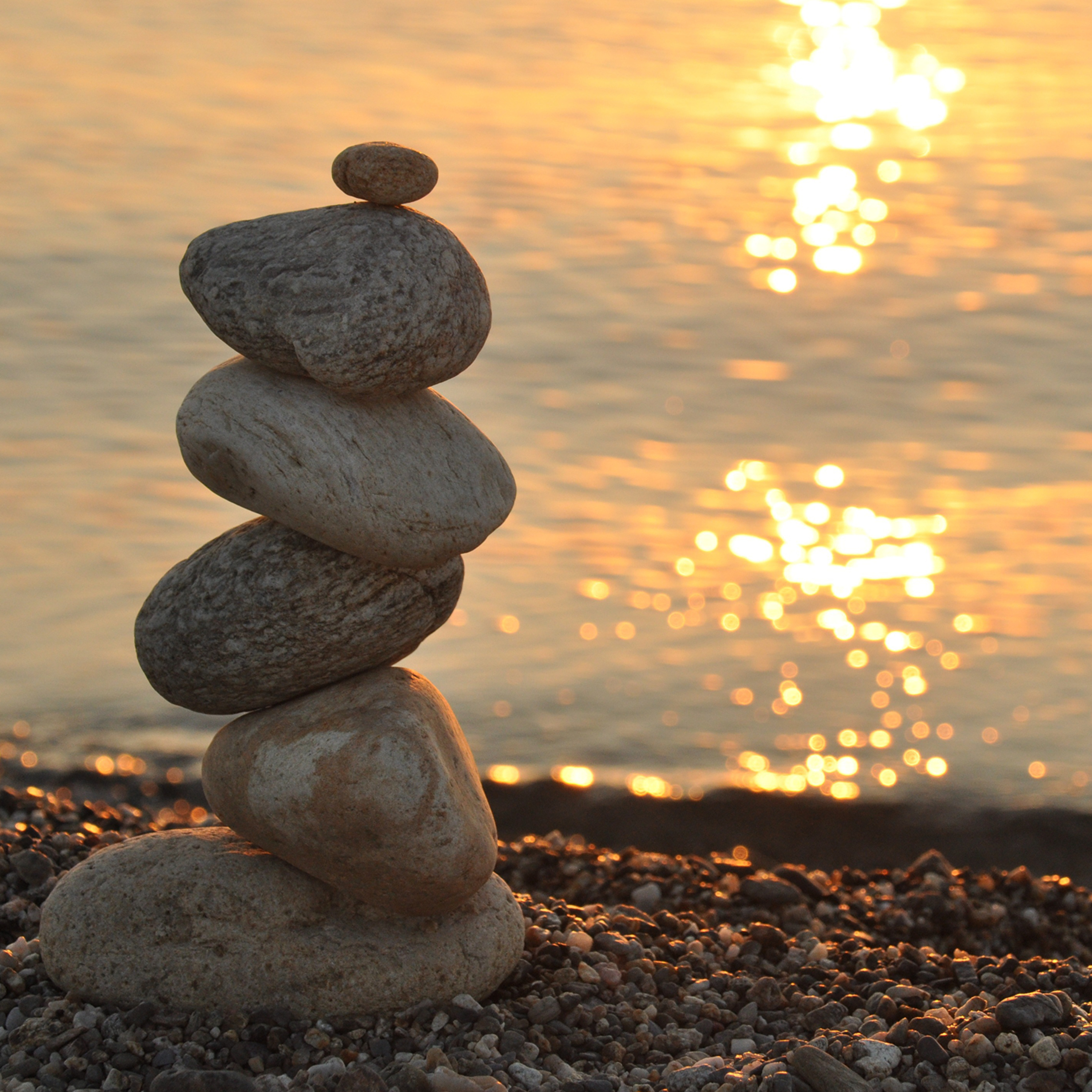 19 - Cultivating Daily Joy: A Guided Meditation for Appreciation episode artwork