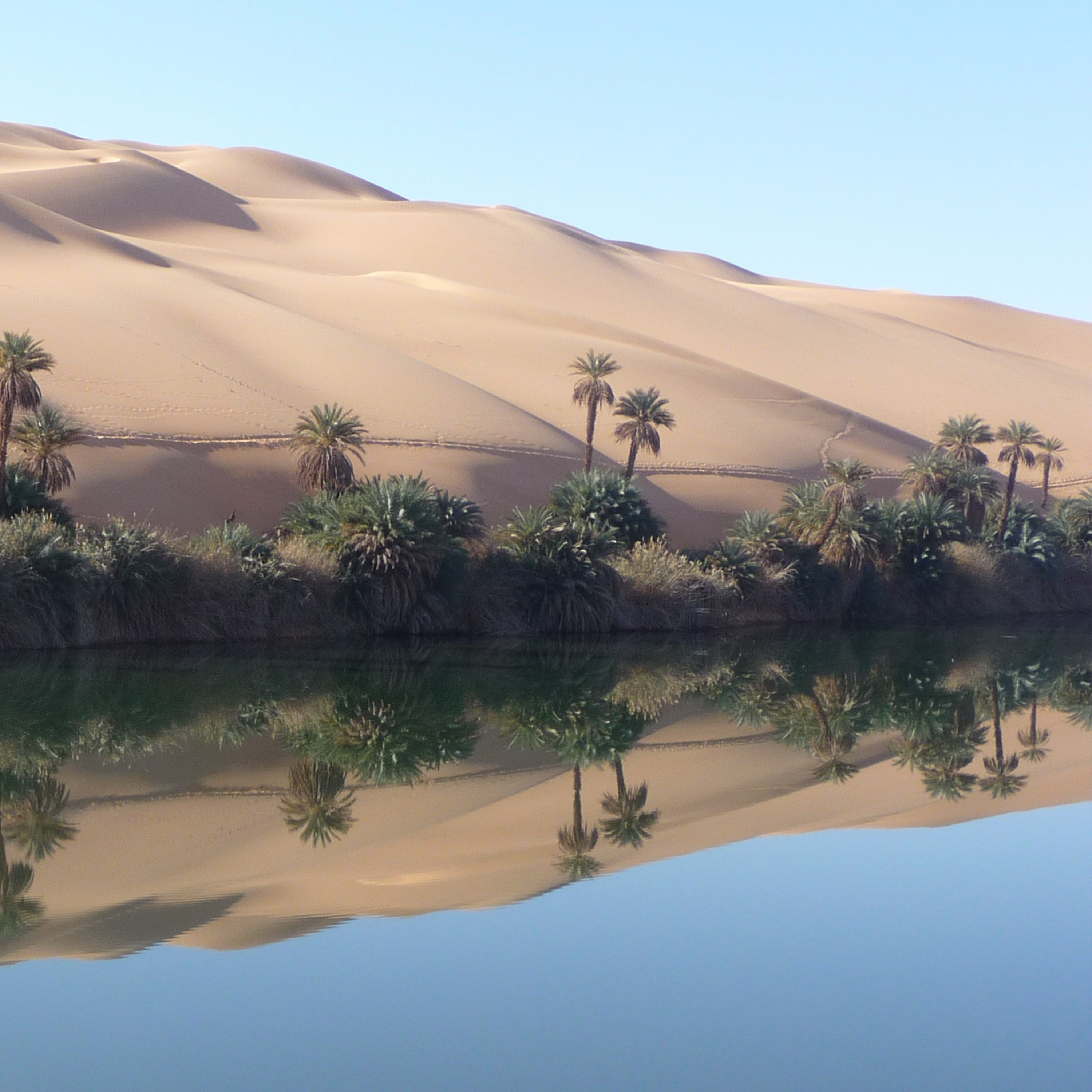 49 - Recover From Burnout: 5-Minute Desert Oasis Meditation episode artwork