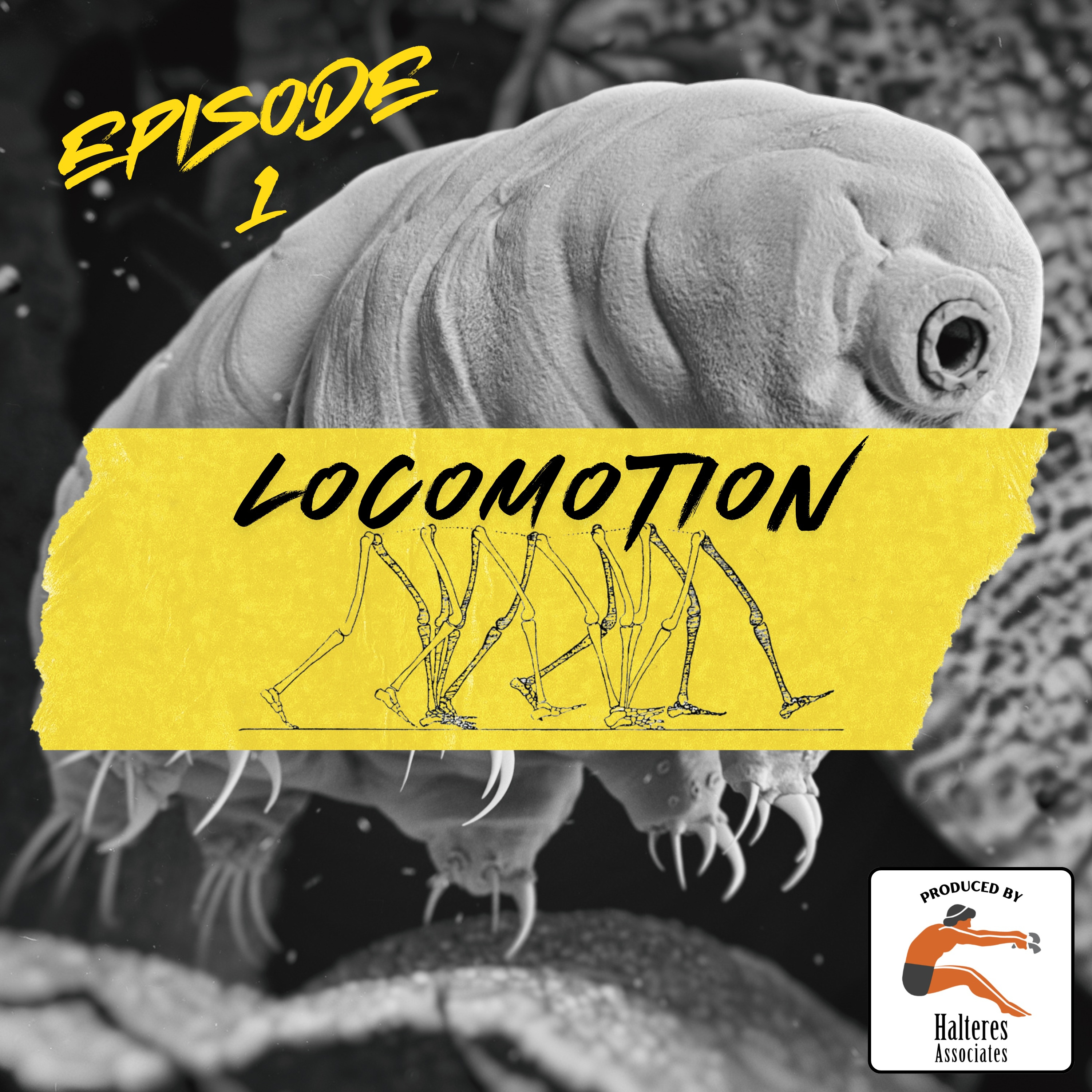 Ep. 101: Locomotion episode artwork