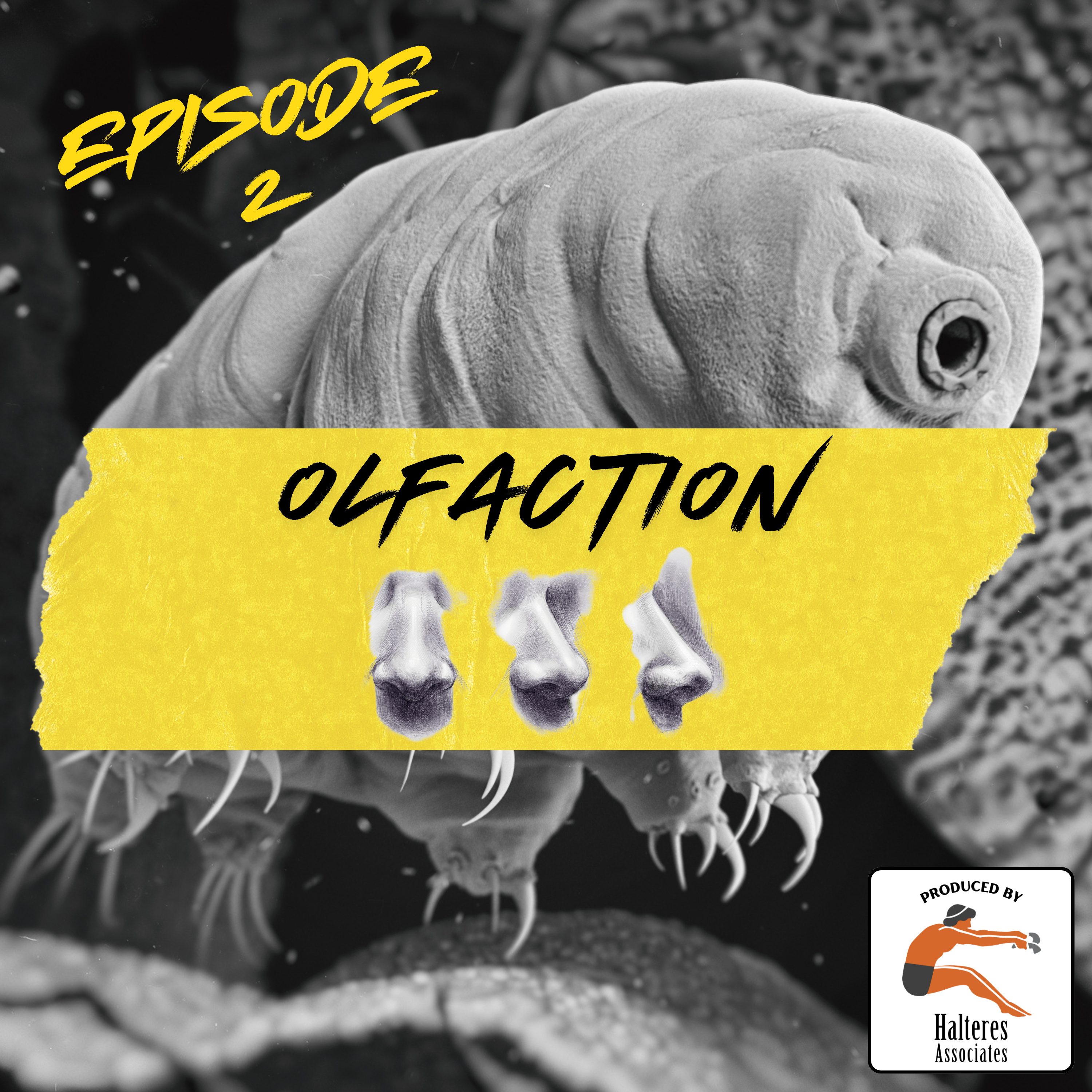 Ep. 102: Olfaction episode artwork