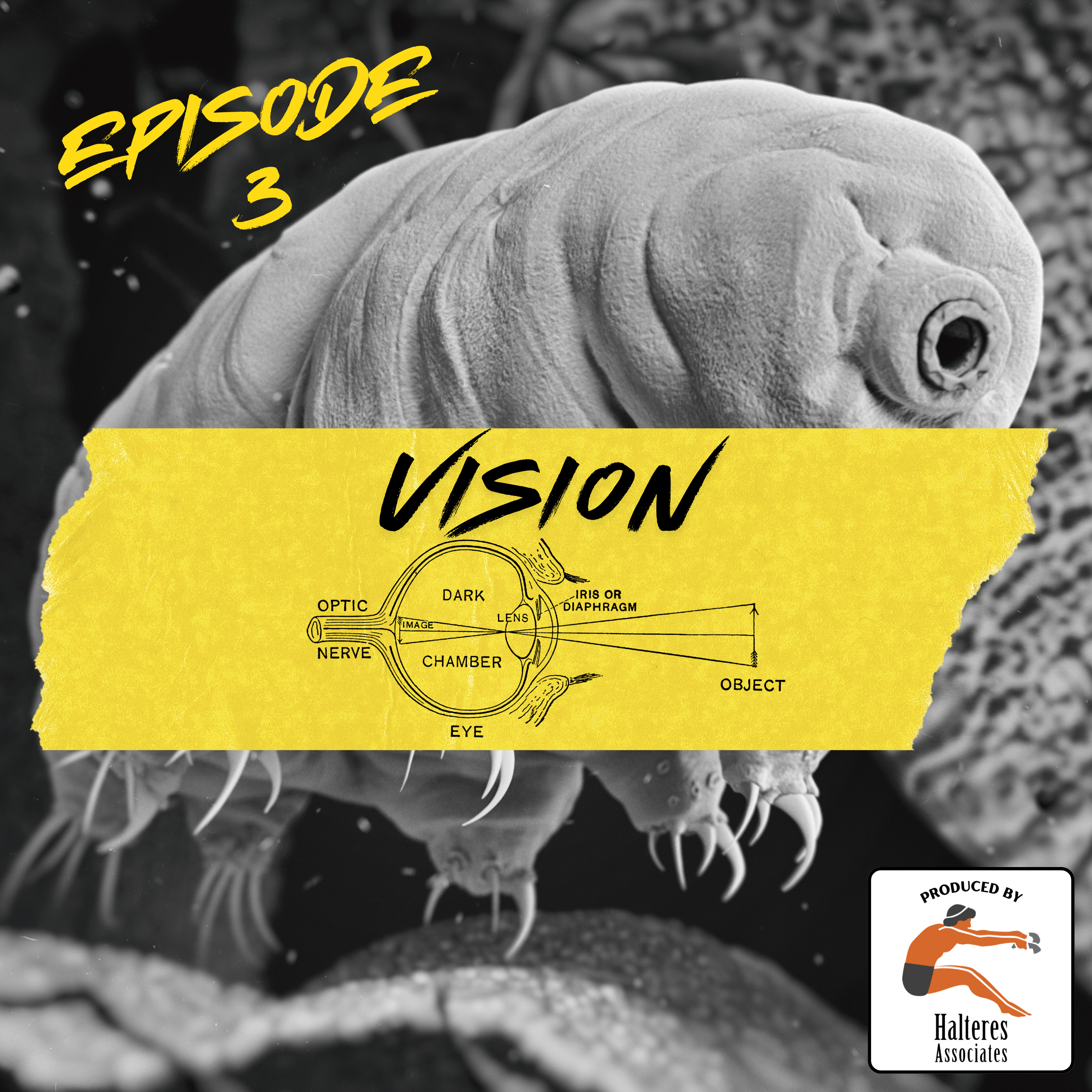 Ep. 103: Vision episode artwork