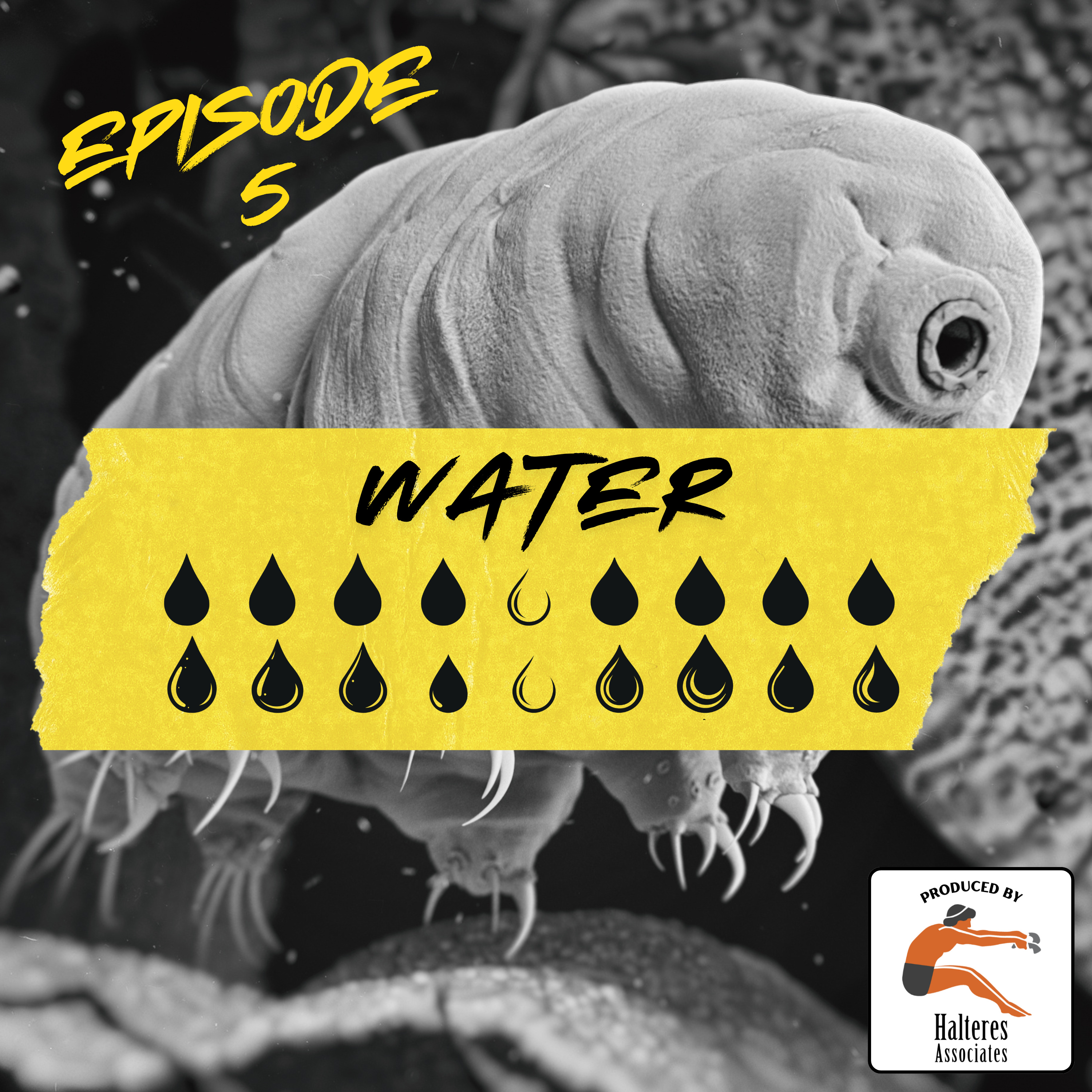 Ep. 105: Water episode artwork