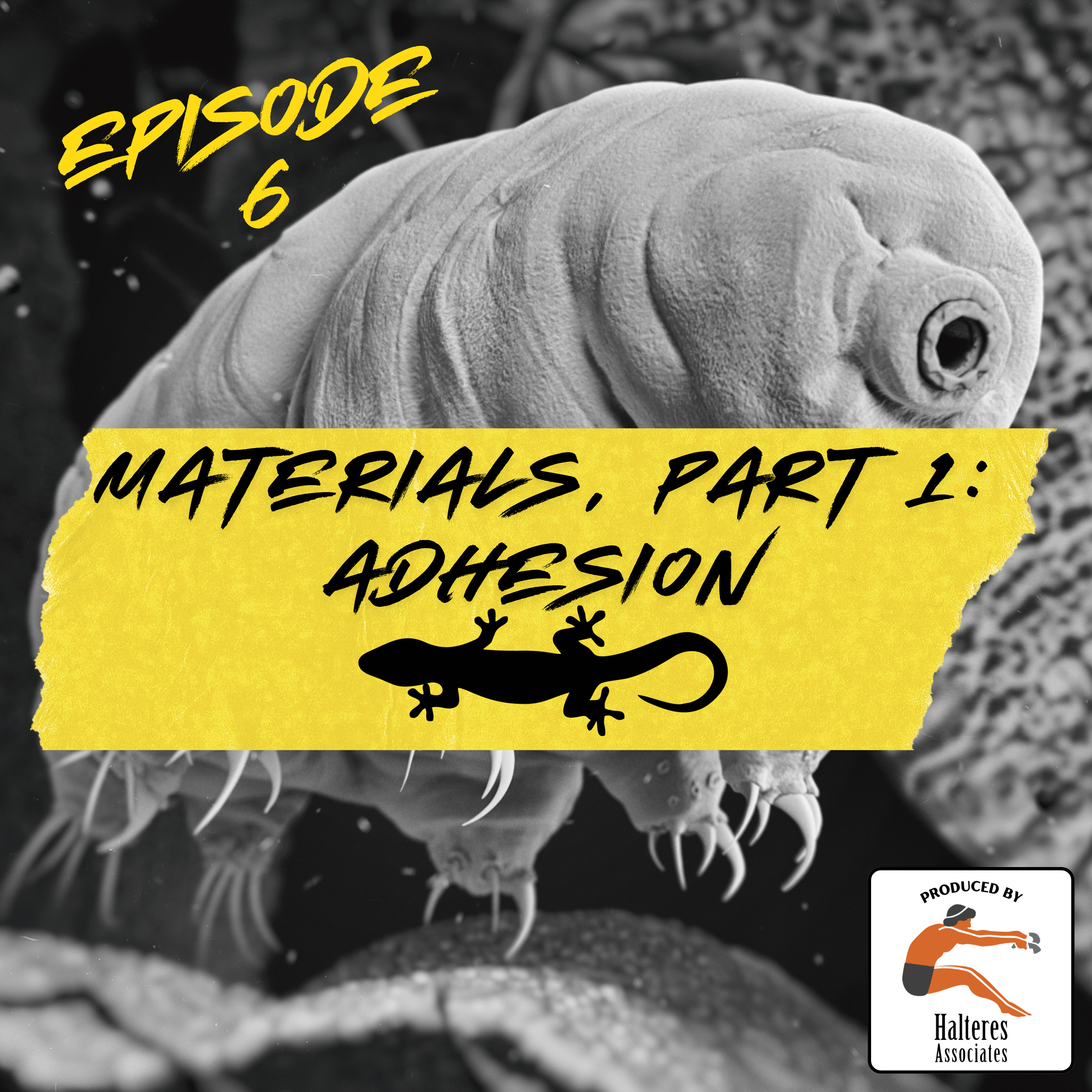 Ep. 106: Materials, Part 1: Adhesion episode artwork