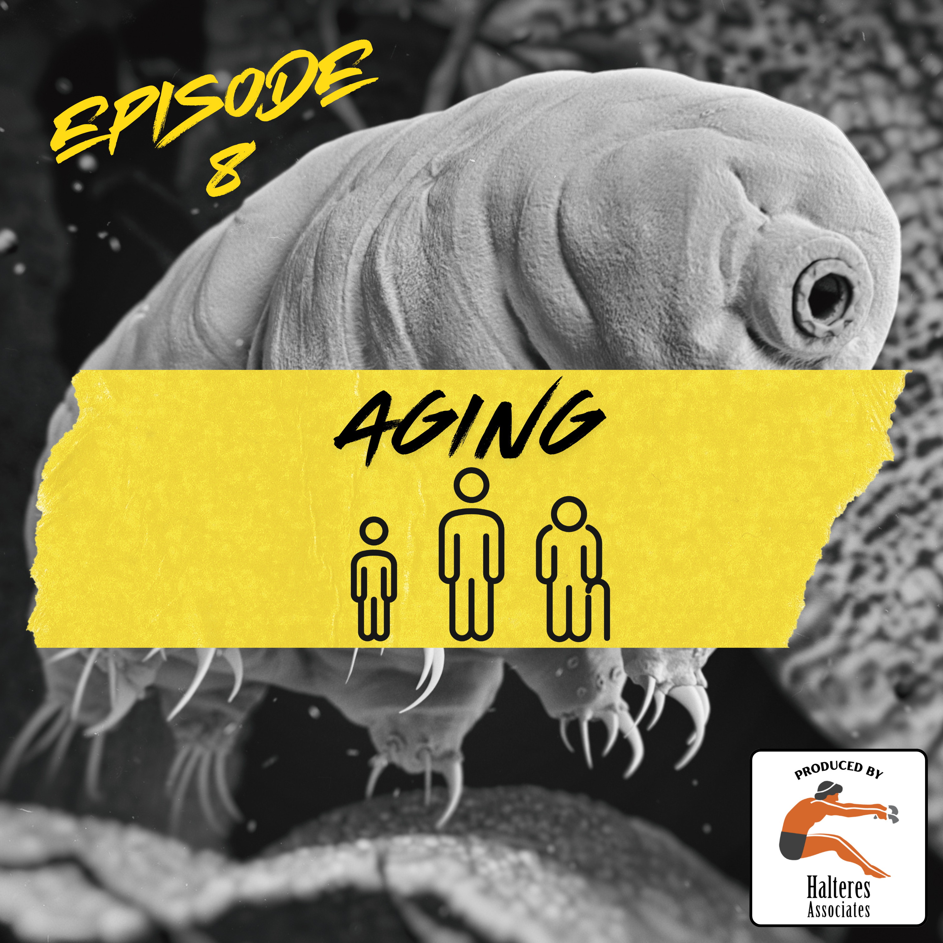 Ep. 108: Aging episode artwork