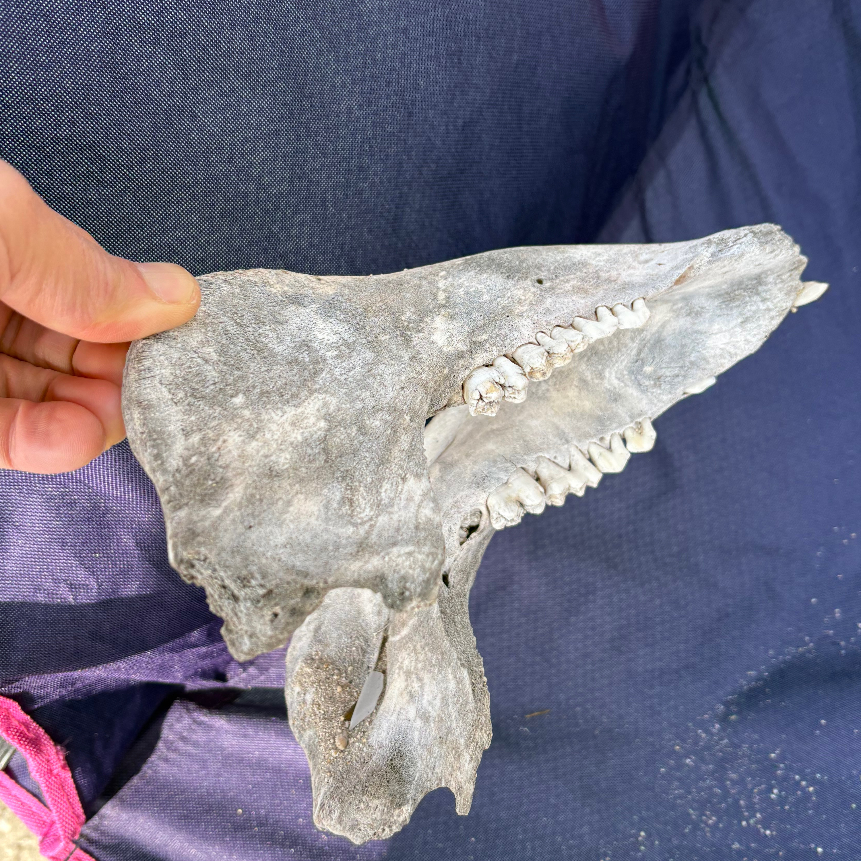 26.01.12(月)#1416　ジョニーさんと海で対談。ロケーション最高！でも・・・