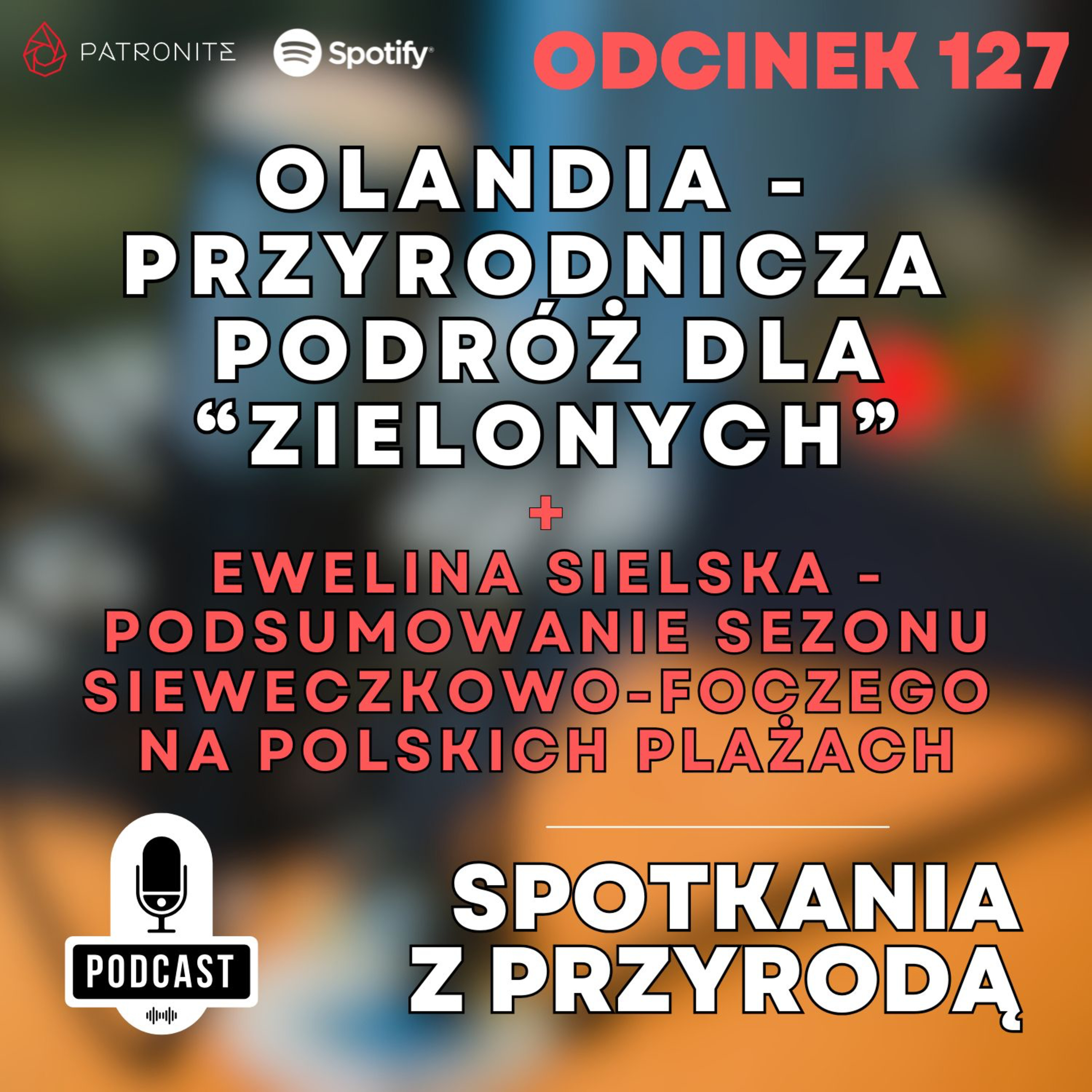 127 - Olandia - przyrodnicza podróż dla "Zielonych" + Ewelina Sielska i podsumowanie sezonu sieweczkowo-foczego na polskich plażach