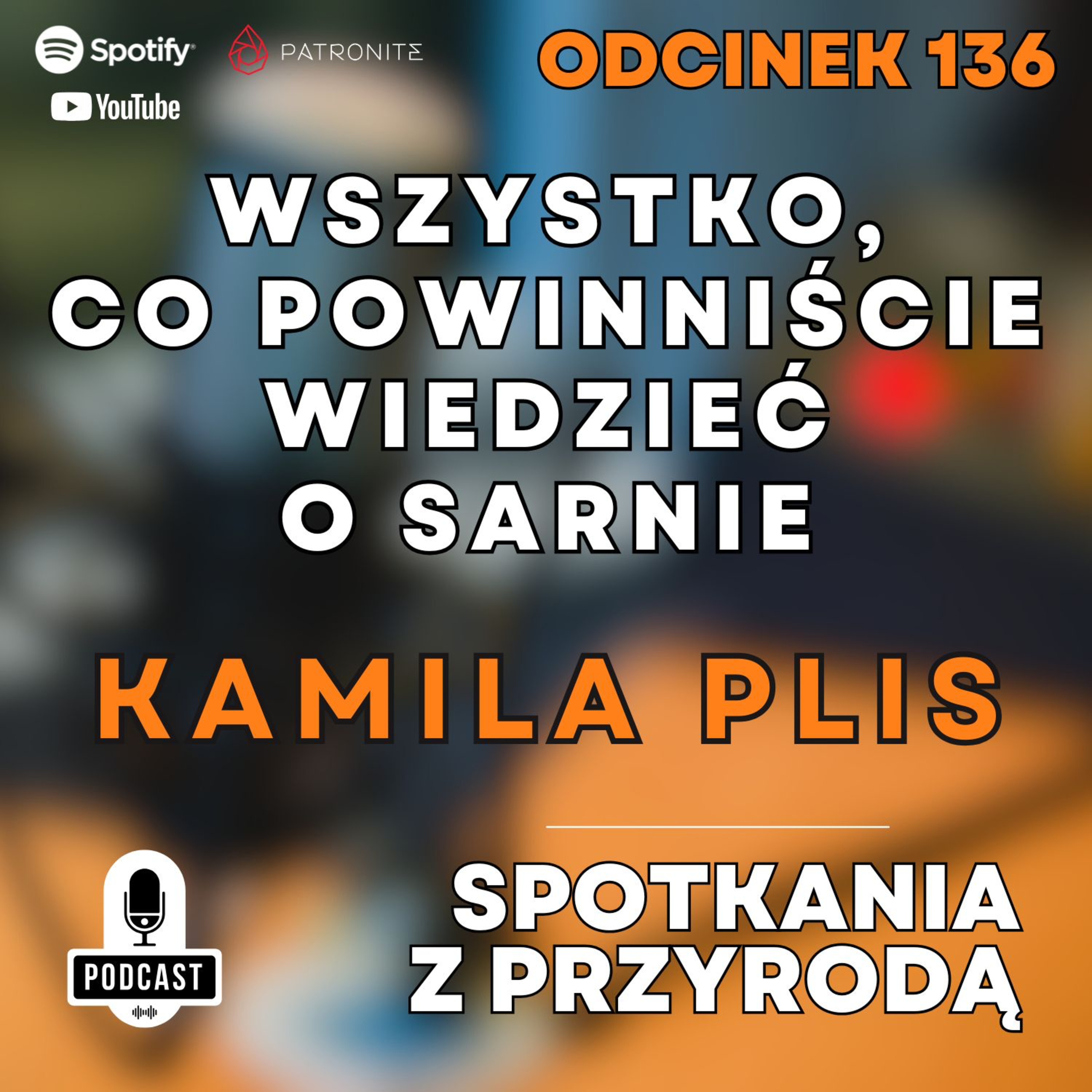 136 - Kamila Plis - Wszystko, co powinniście wiedzieć o Sarnie
