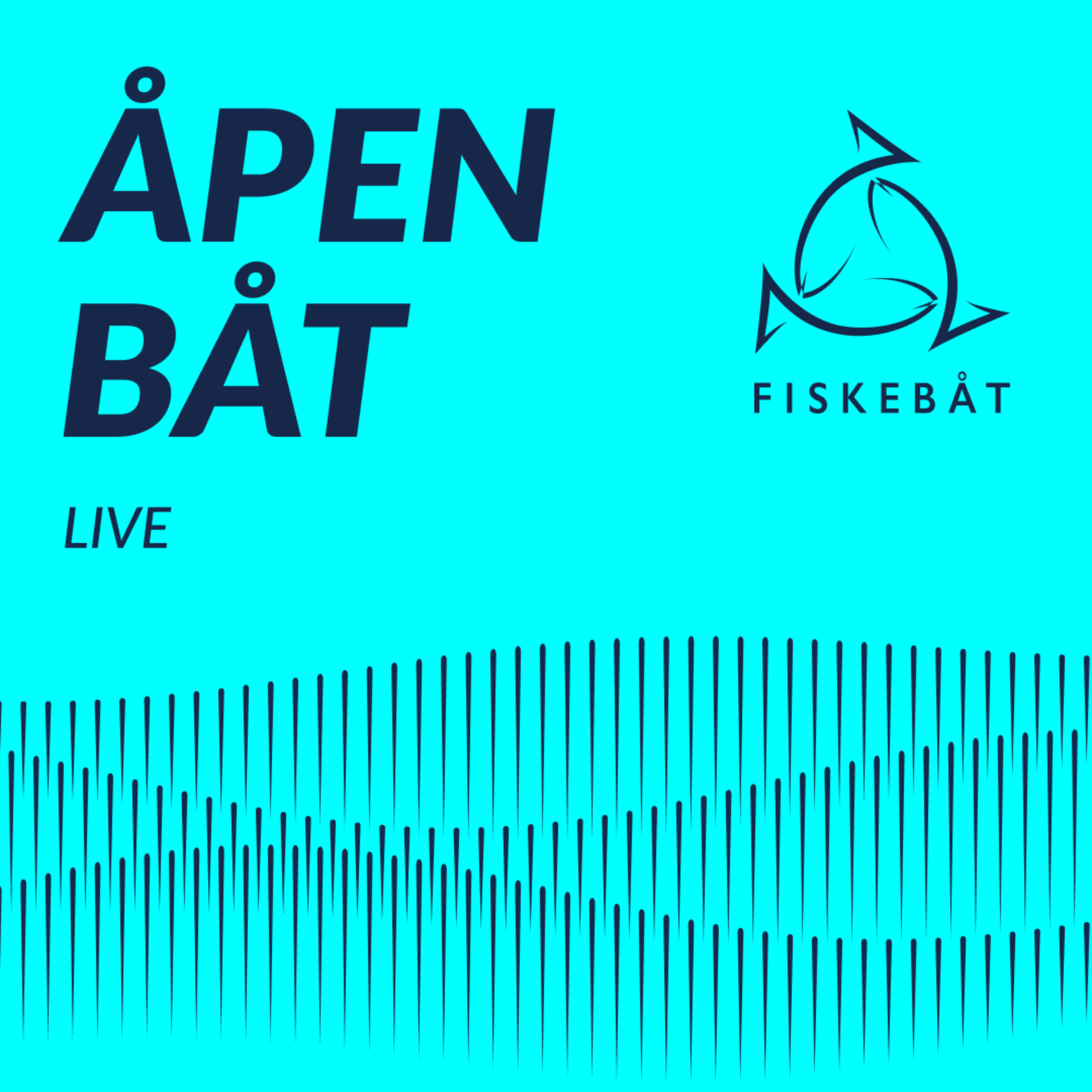 Er fiskerinæringa klar for en ny EU-debatt? og bør Norge bli medlem? episode artwork