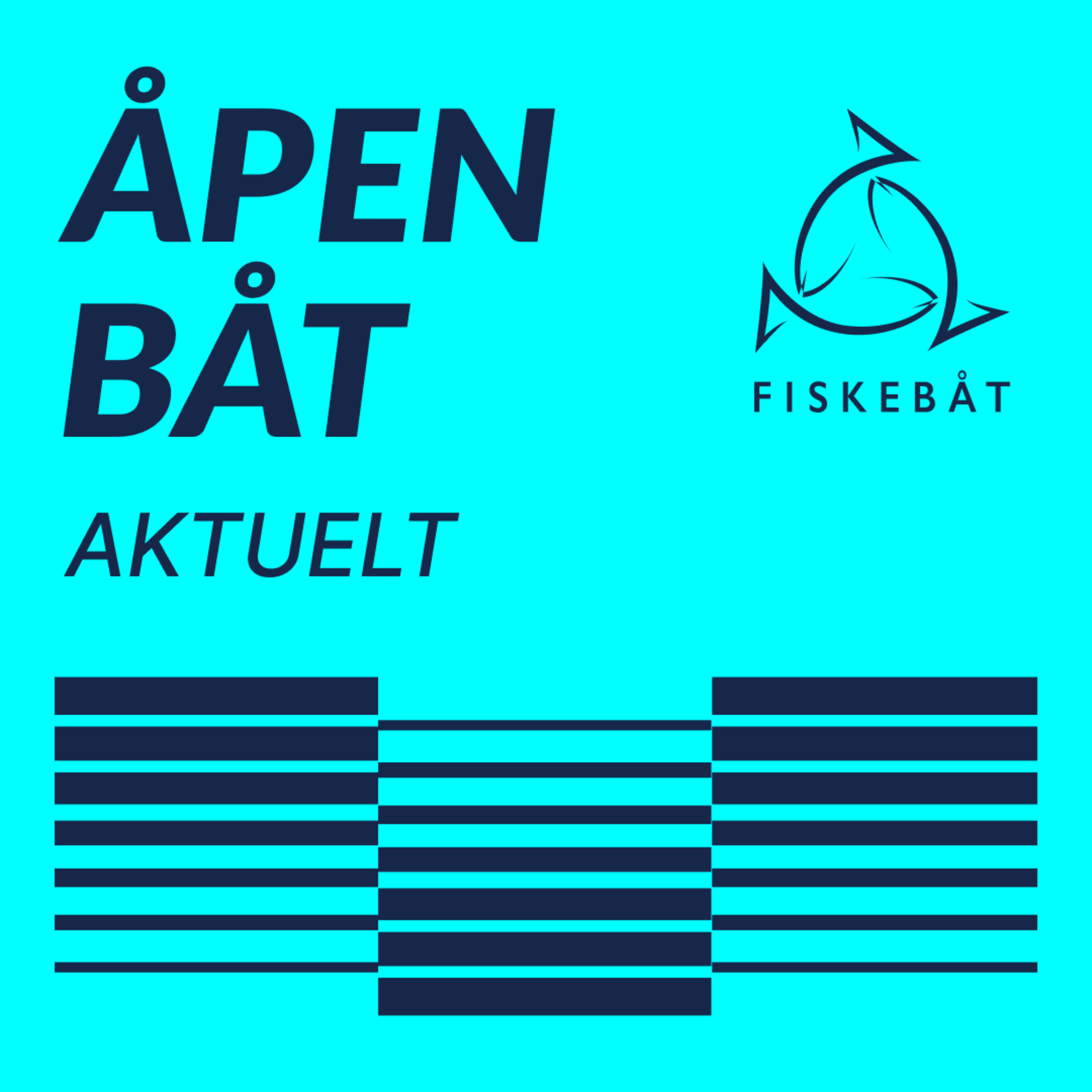 EU og fisk – hva står på spill i forhold til norsk EU-medlemskap? episode artwork
