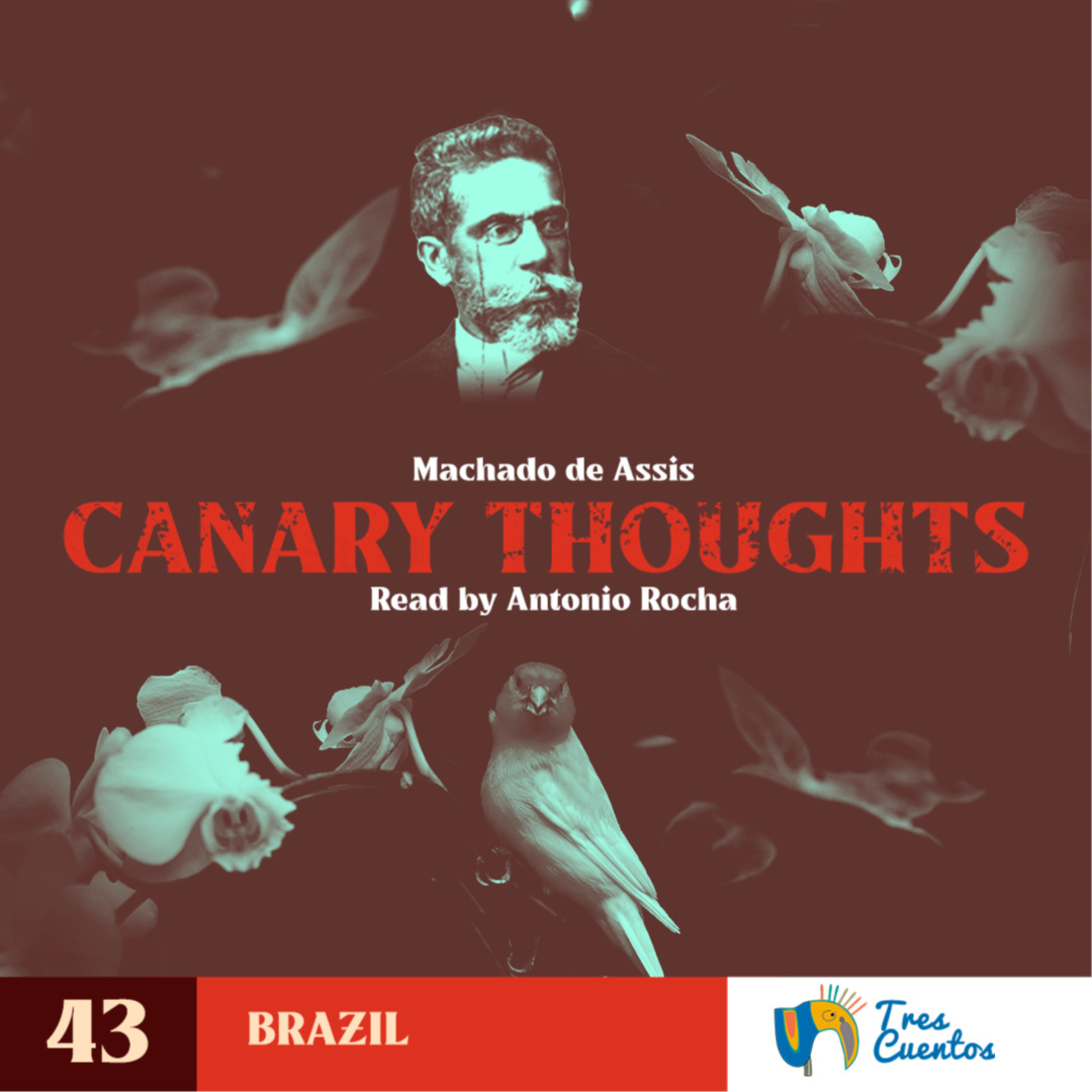 043 - EN - Canary Thoughts - Machado de Assis - Brazil