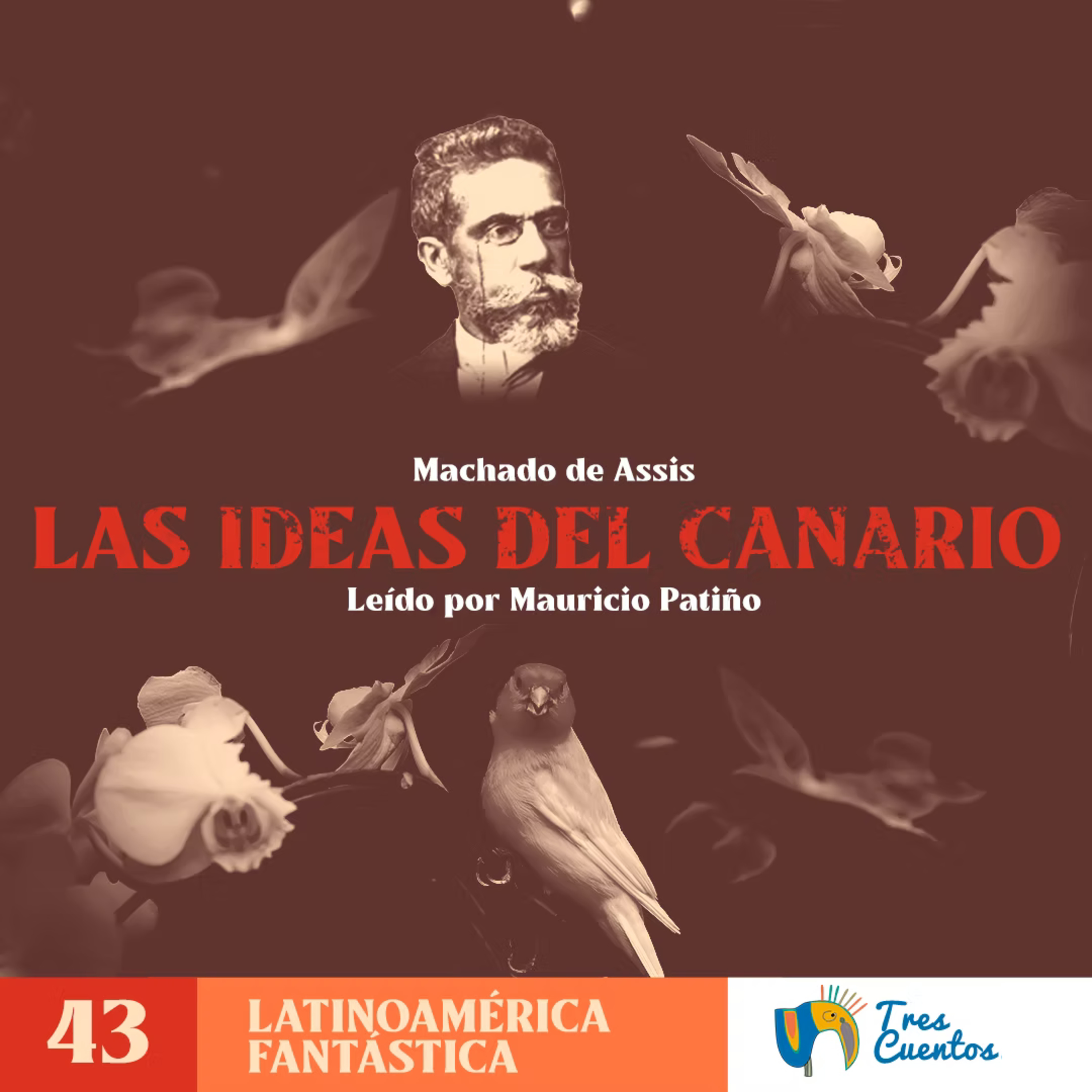 043 - SP - Las Ideas del Canario - Machado de Assis - Brasil