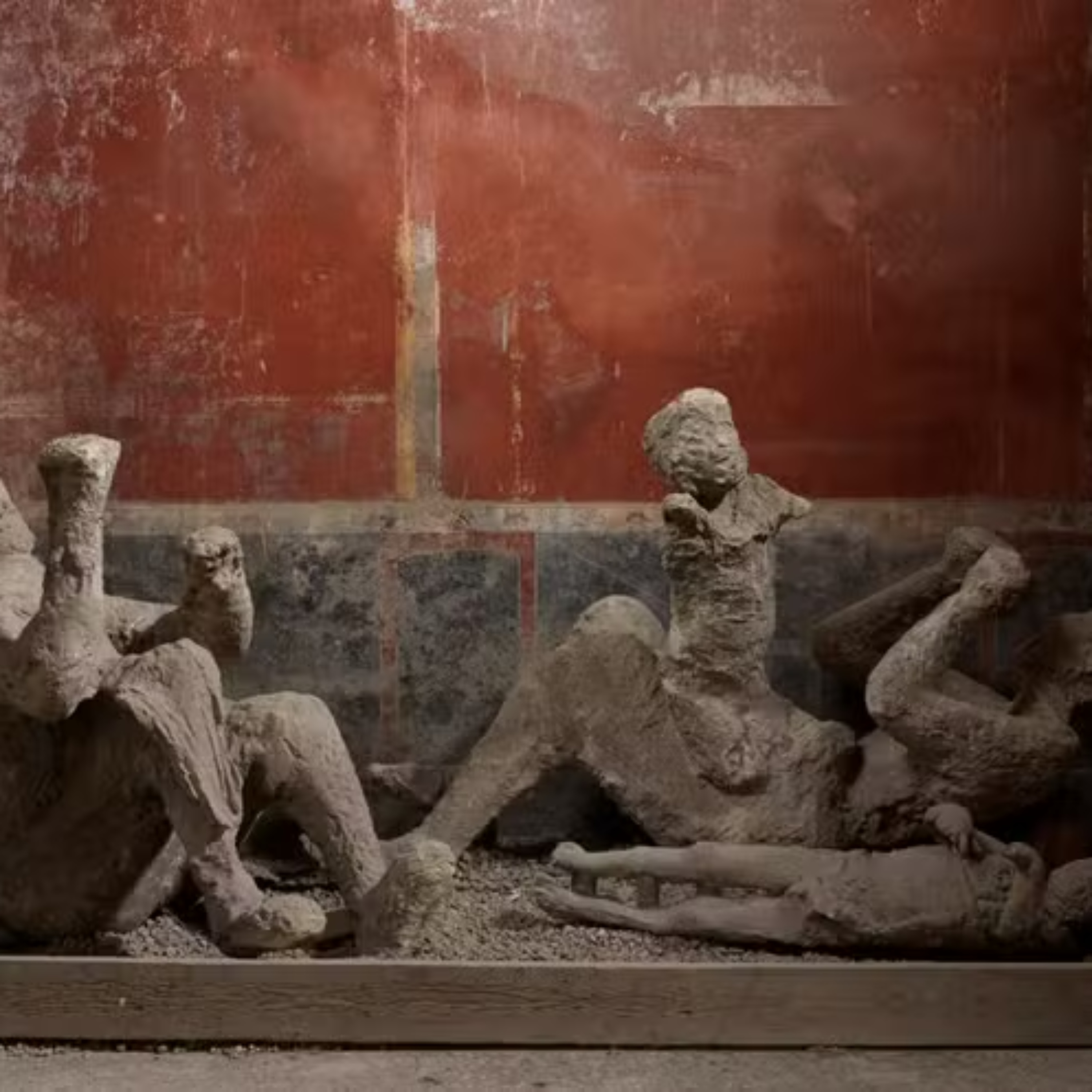Pompeii-A Roman Doctor's Last Stand  episode artwork