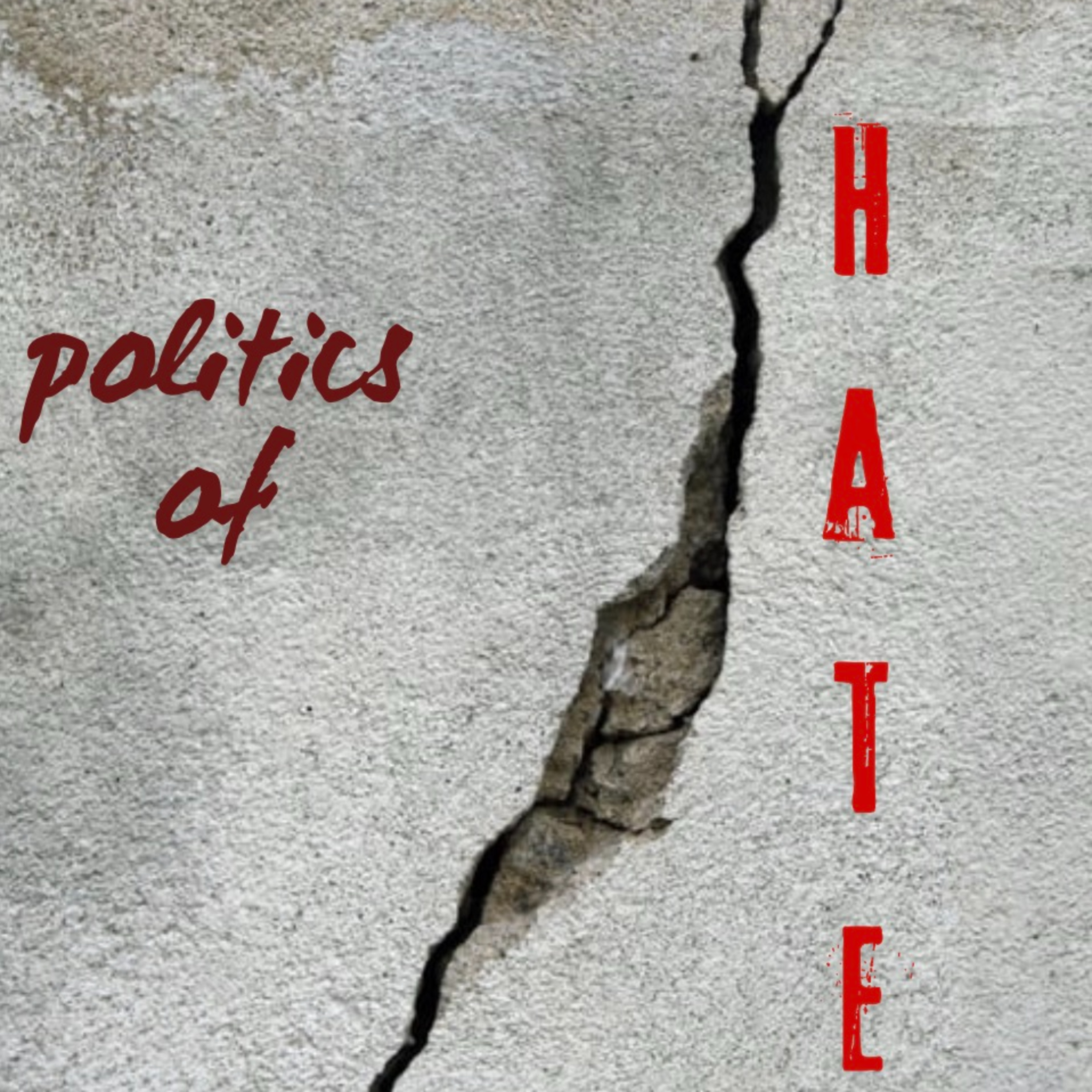 The Politics of Hate: Remigration & the Far Right episode artwork