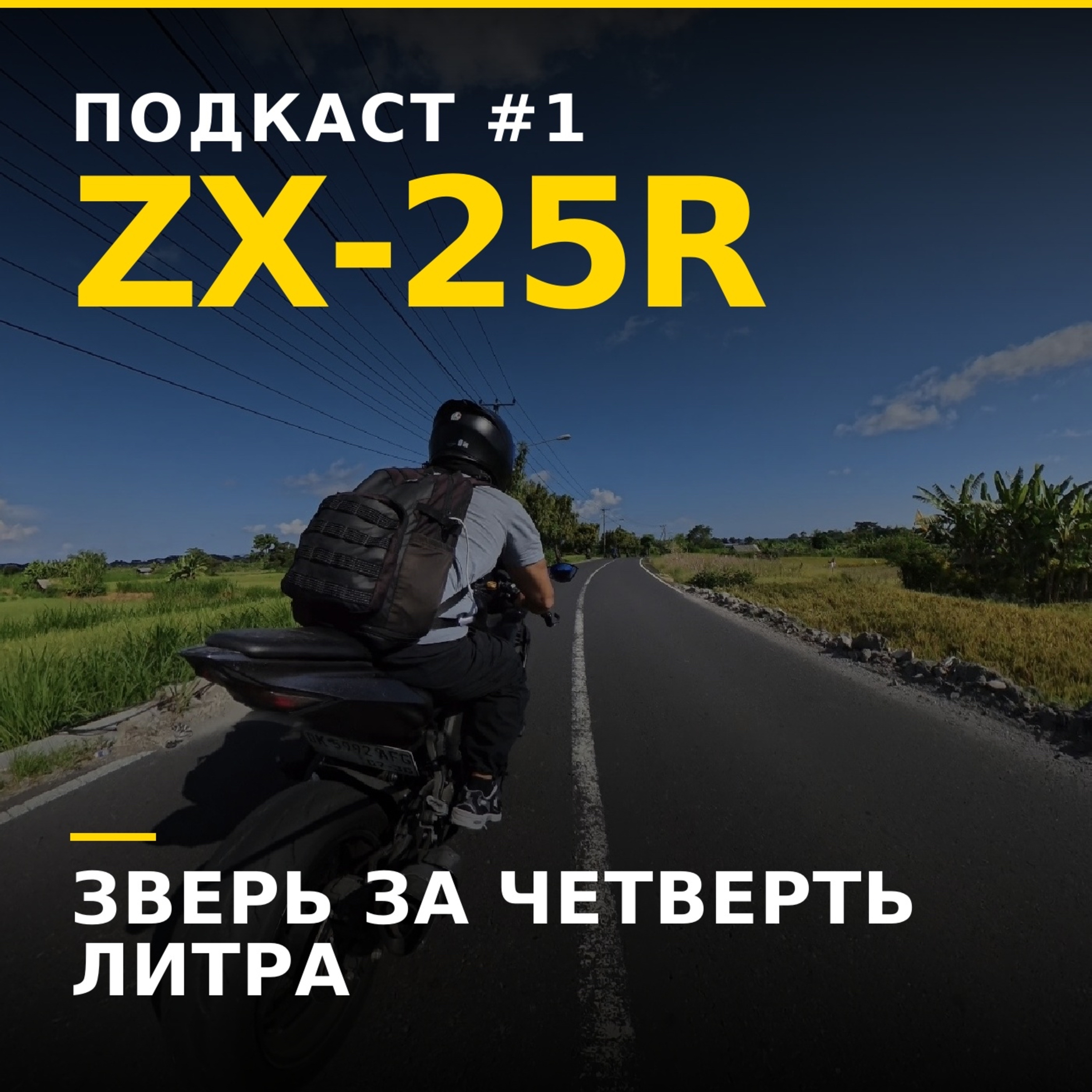 Kawasaki ZX 25R SE — зверь за четверть литра episode artwork