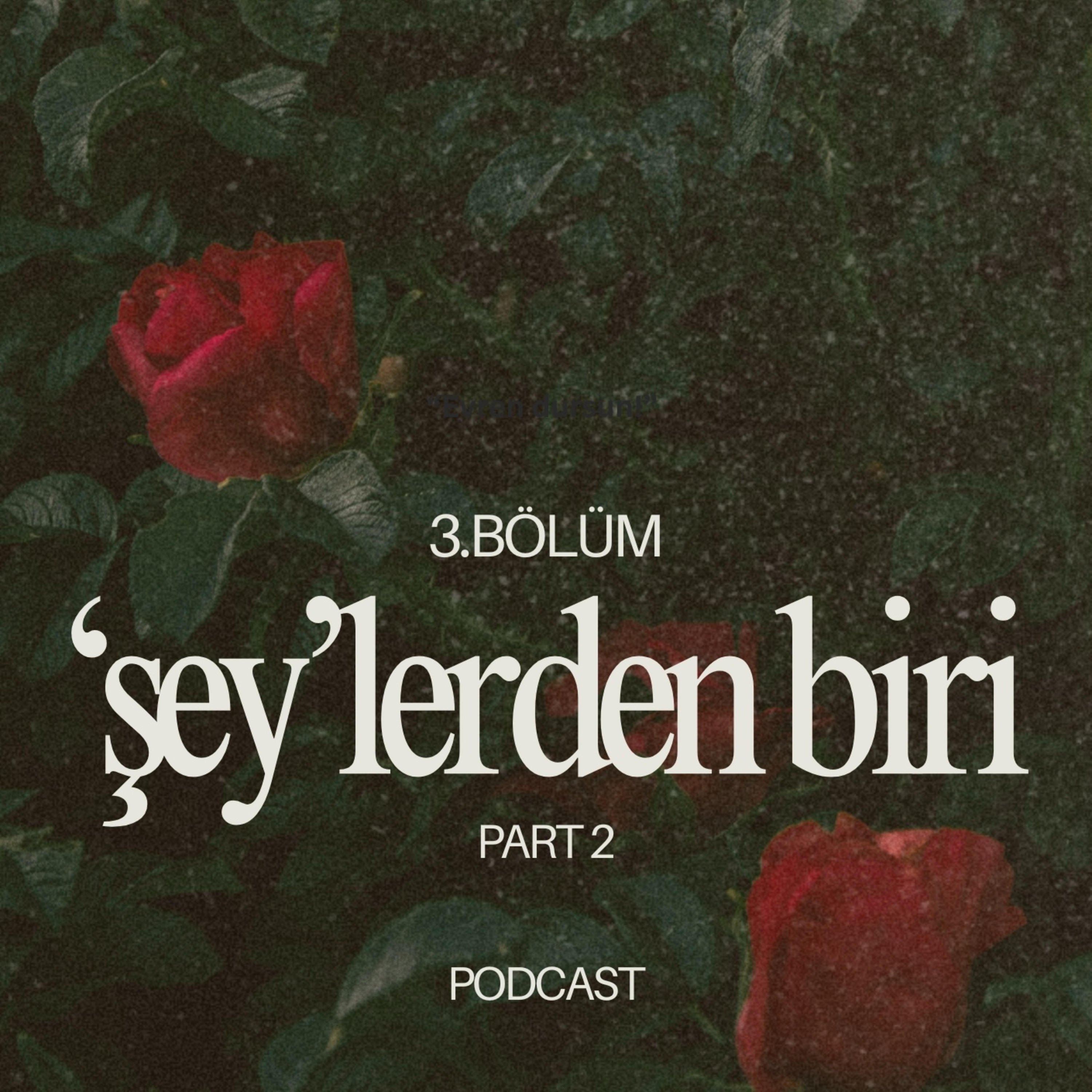 bölüm 3 / part 2 - "bazı şiirler.."